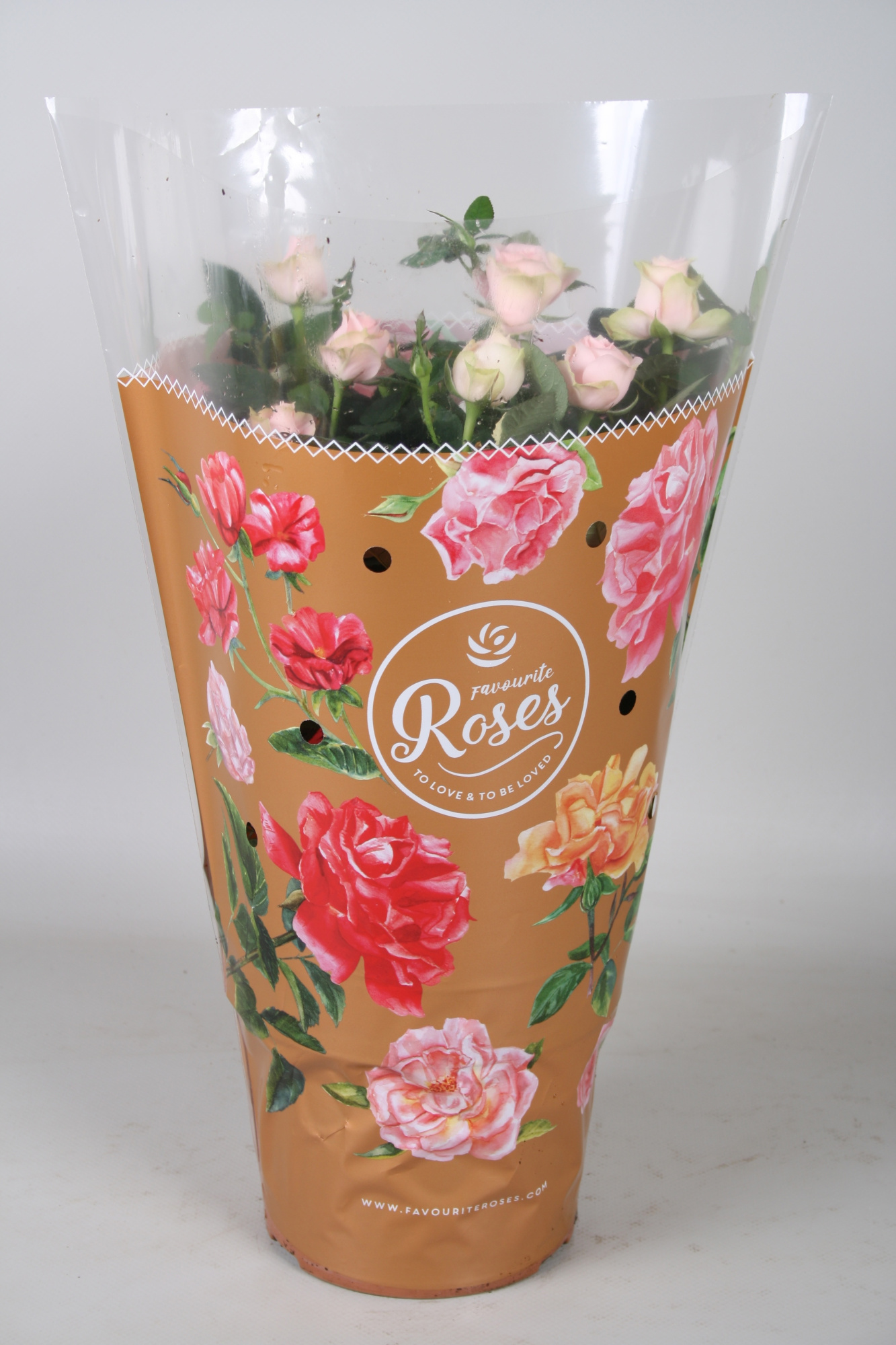 Rosa Favourite Roses light pink+seizoenshoes, D 17 cm