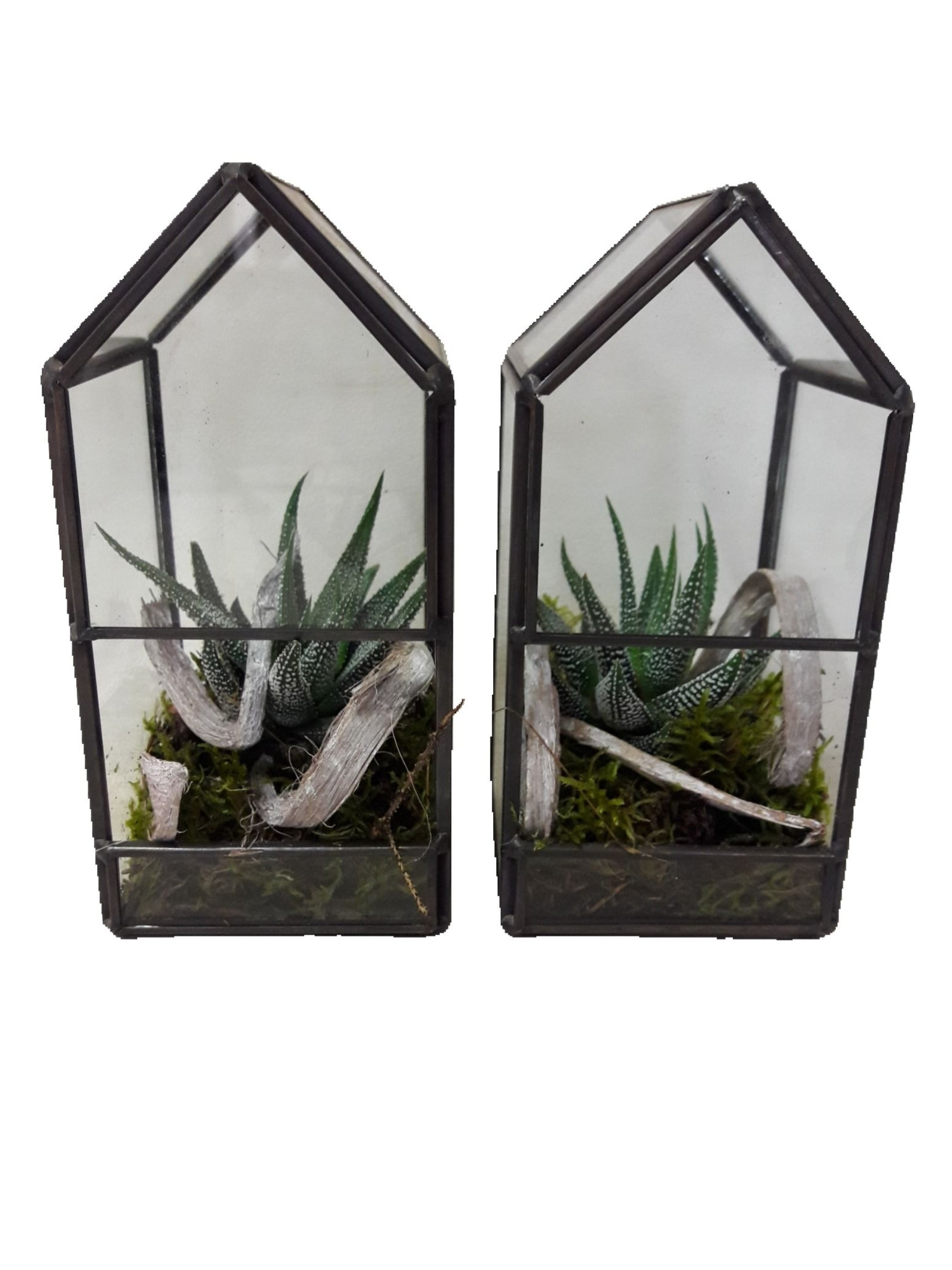 GHK8 Glass House Mini Terrarium, D 8 cm