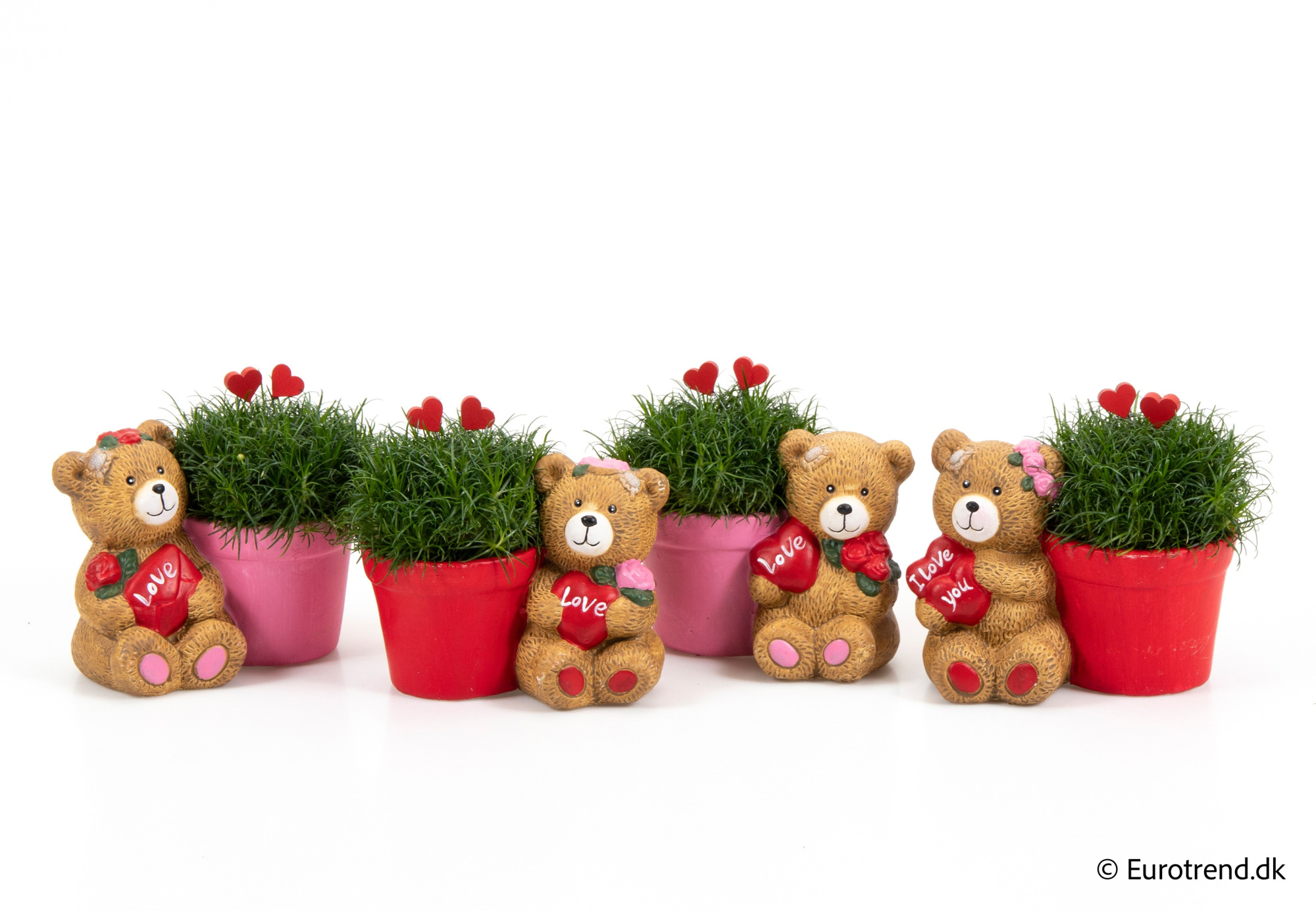 Sagina in Valentine ceramic 2026, D 6