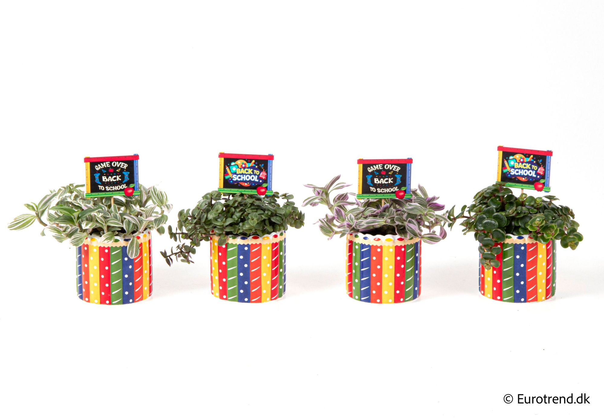 Green mix in pencil ceramic - Spring, Summer & Autumn 2025, D 6 cm