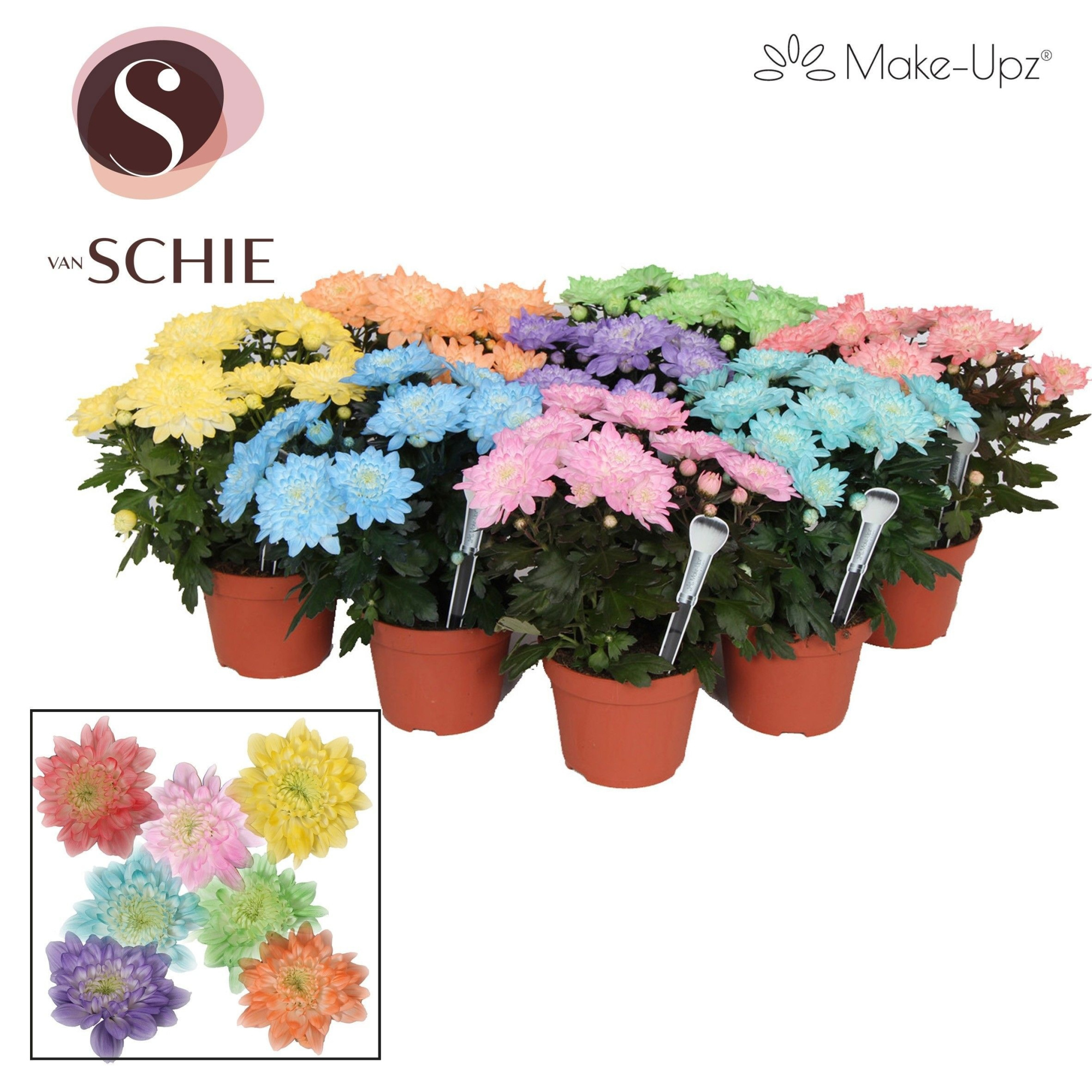 Chrysanne Grandezza Mix Make-Upz®, D 13 cm