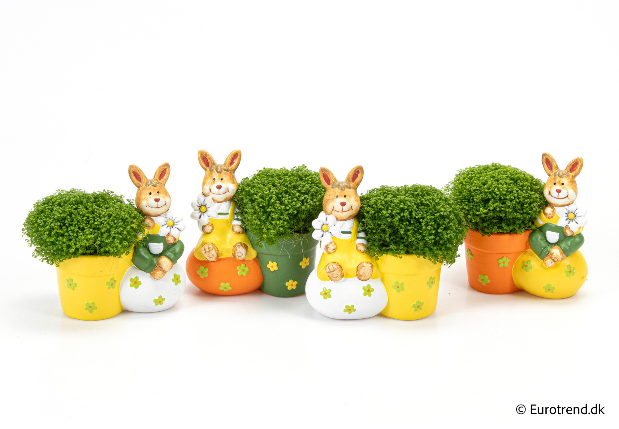 Sellaginella in Easter ceramic 2026, D 6