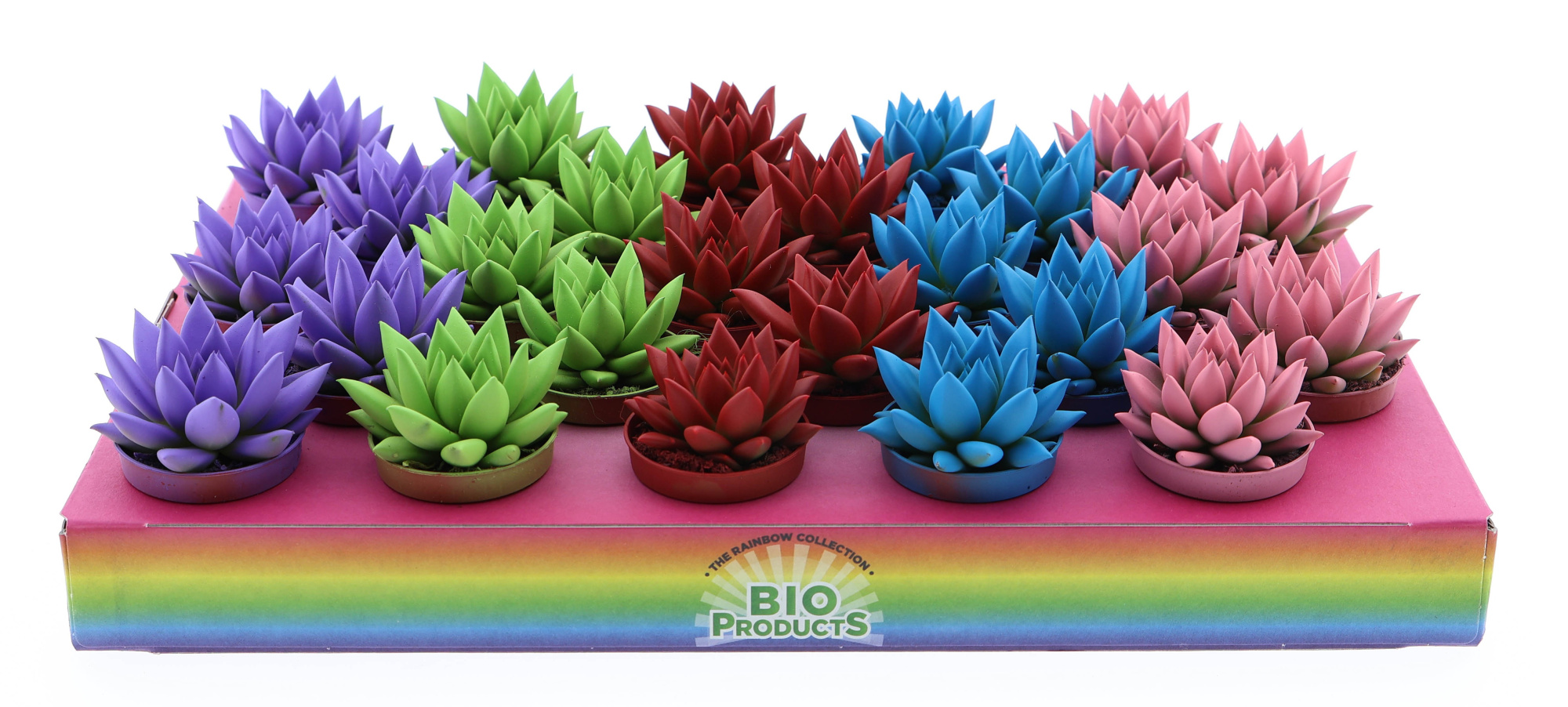 Rainbow mix, D 5,5 cm