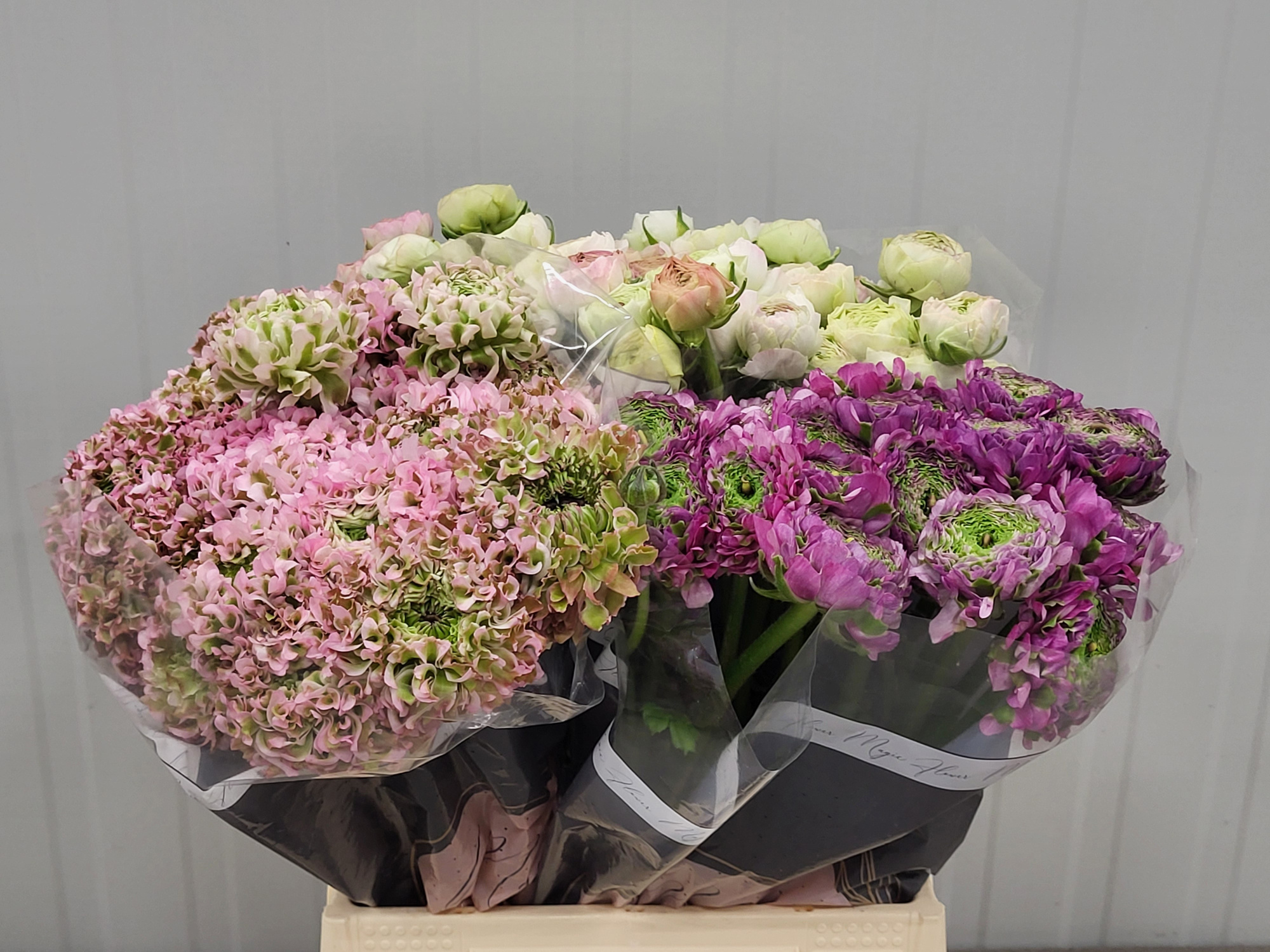 Ранункулус Микс в баке 45, шт.