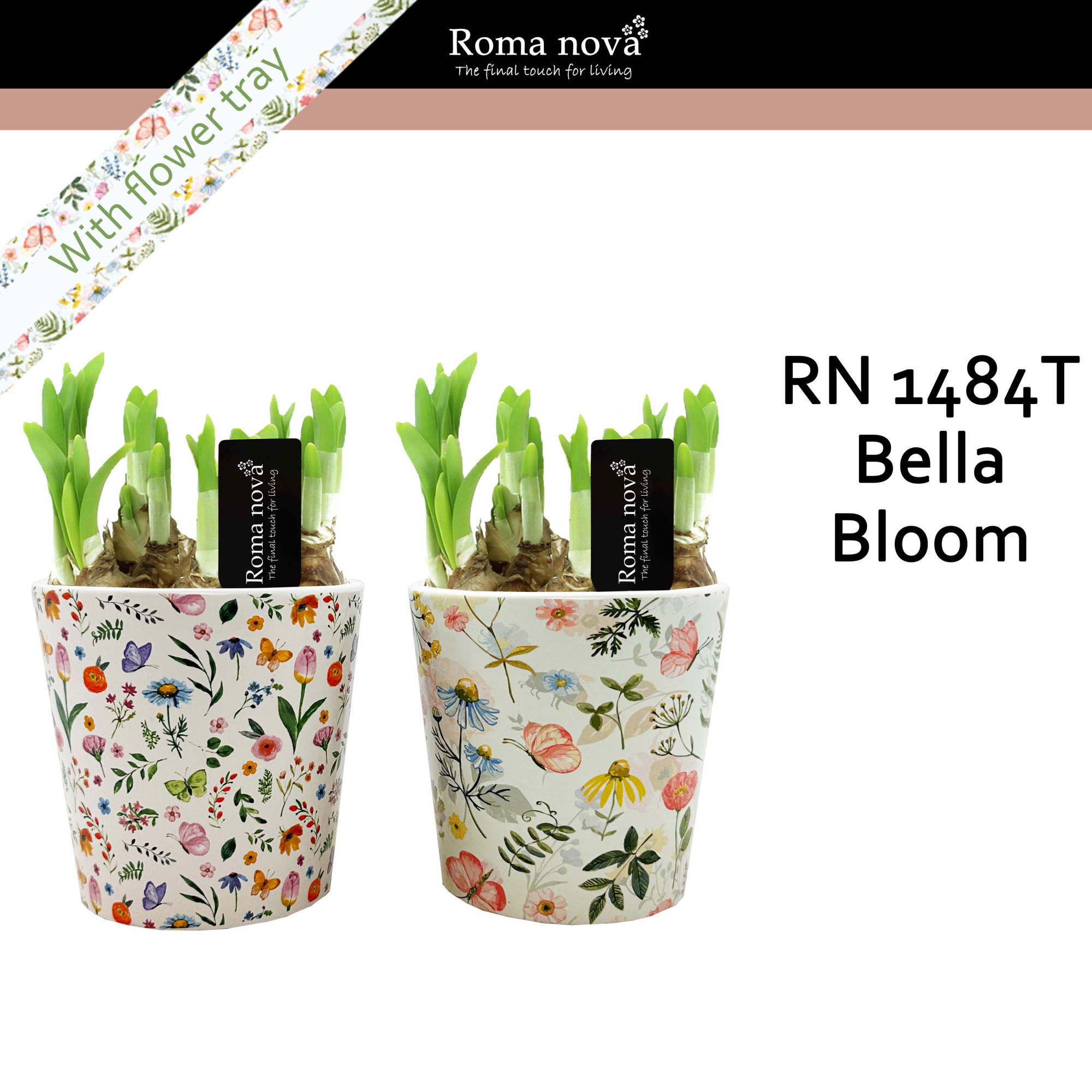 1484T - Bella Bloom (Tete a Tete), D 12