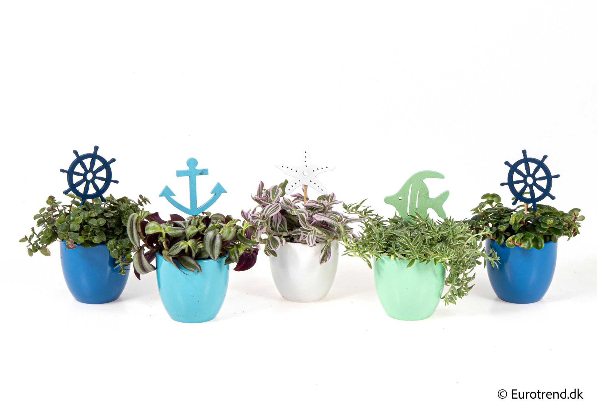 Green mix in sea ceramic - Spring, Summer & Autumn 2025, D 6 cm