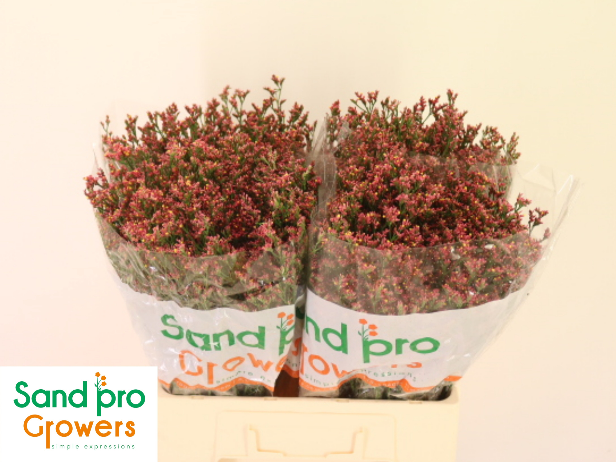 Лимониум Макс Даймонд 60, шт.