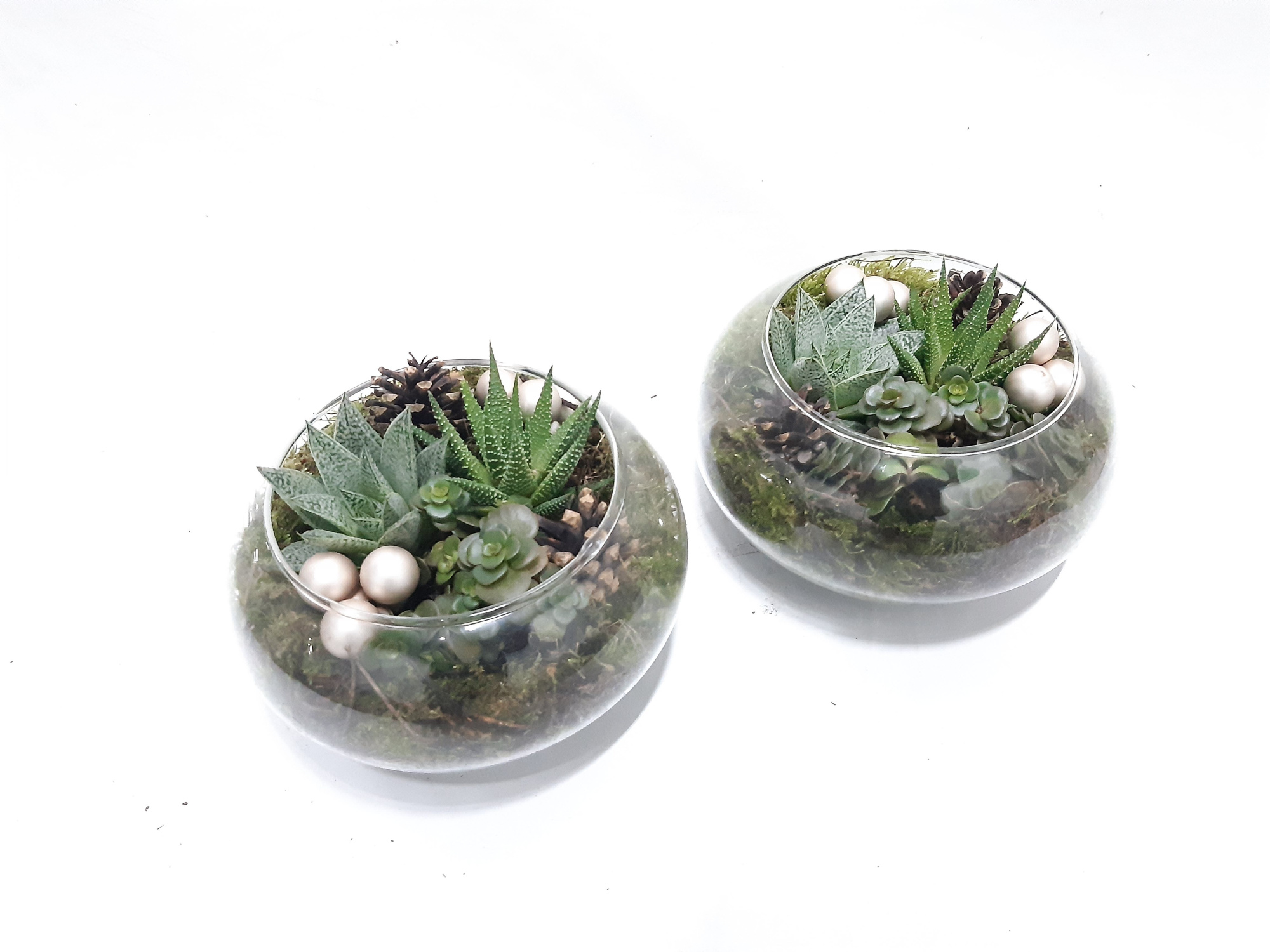 511DEC Floatschaal mini groenmix Kerst, D 19 cm