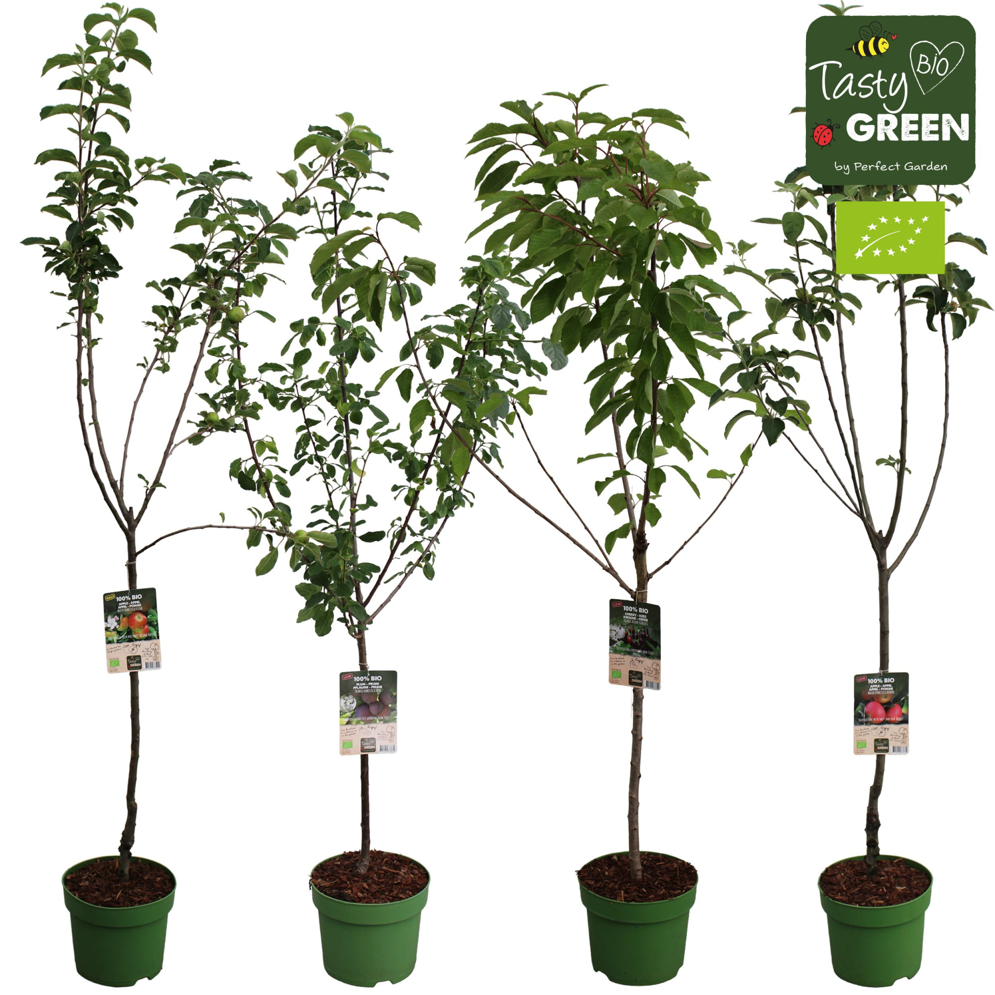 Bio fruitbomen laagstammen mix CC P27, D 7,5 cm