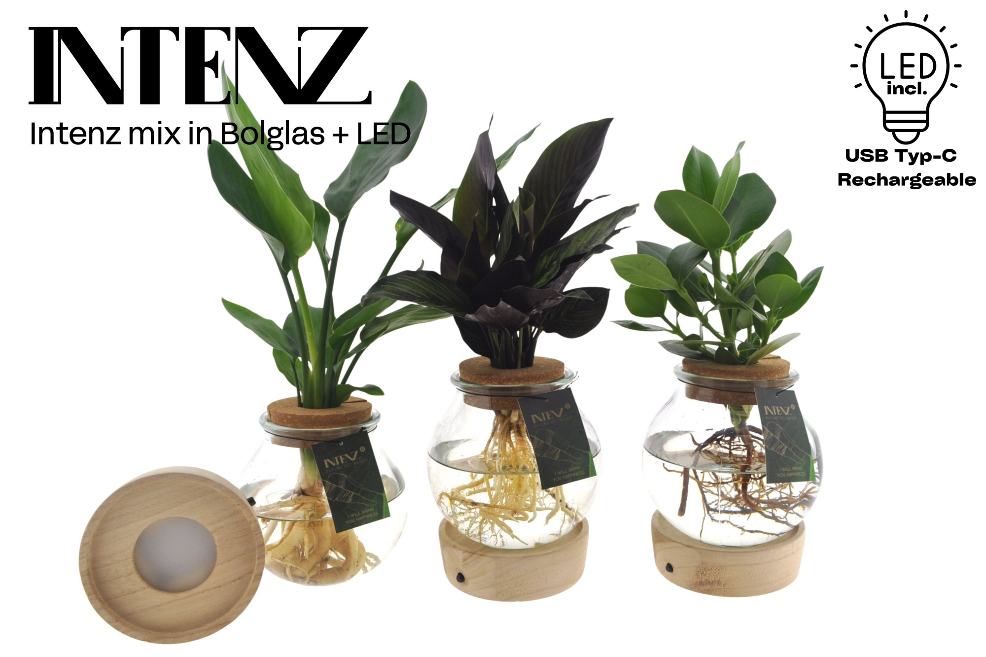 Intenz mix in Bolglas + LED - levertijd: 24 u, D 12