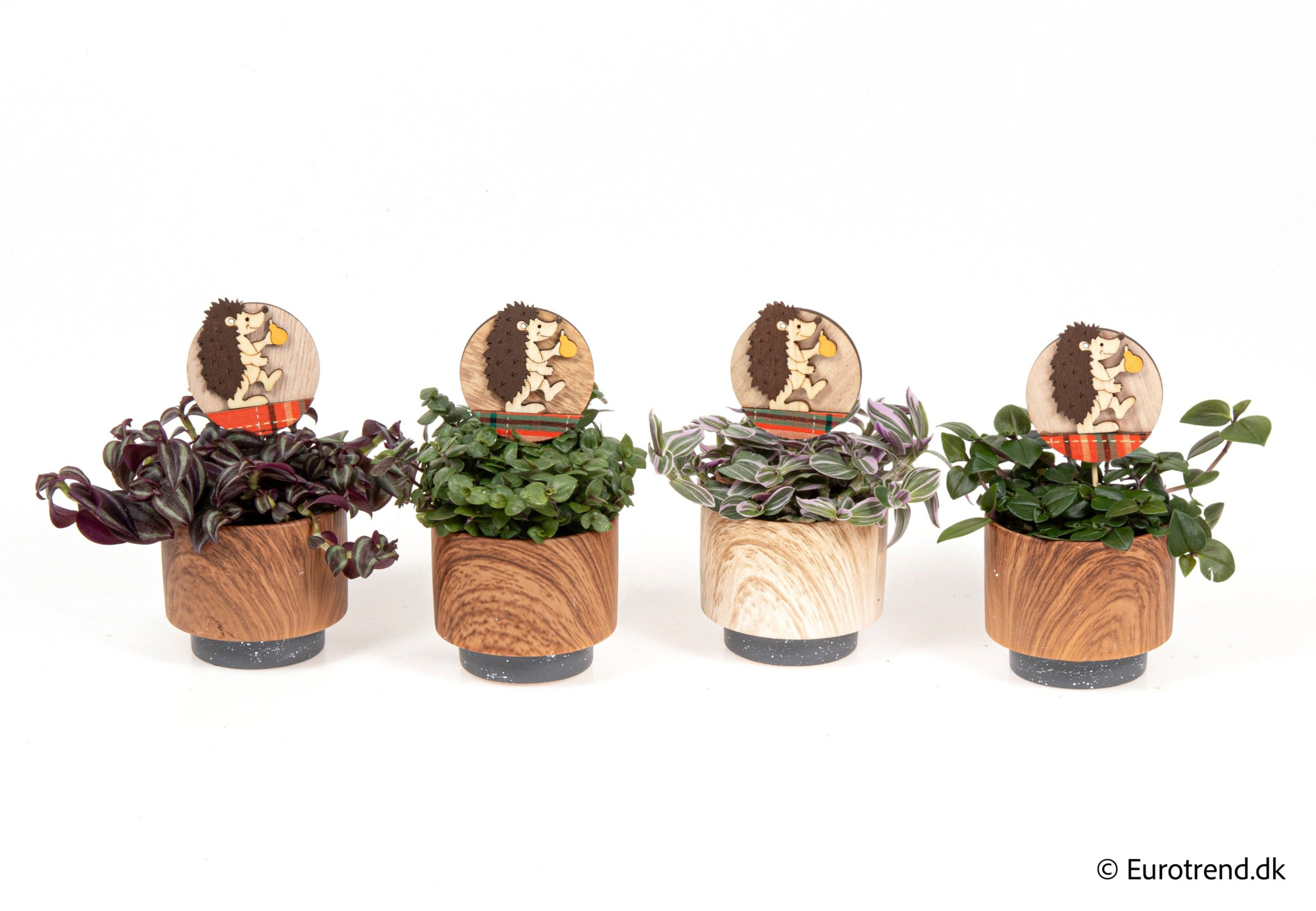 Green mix in autumn ceramic with owl sticker - Spring, Summer & Autumn 2025, D 6 cm