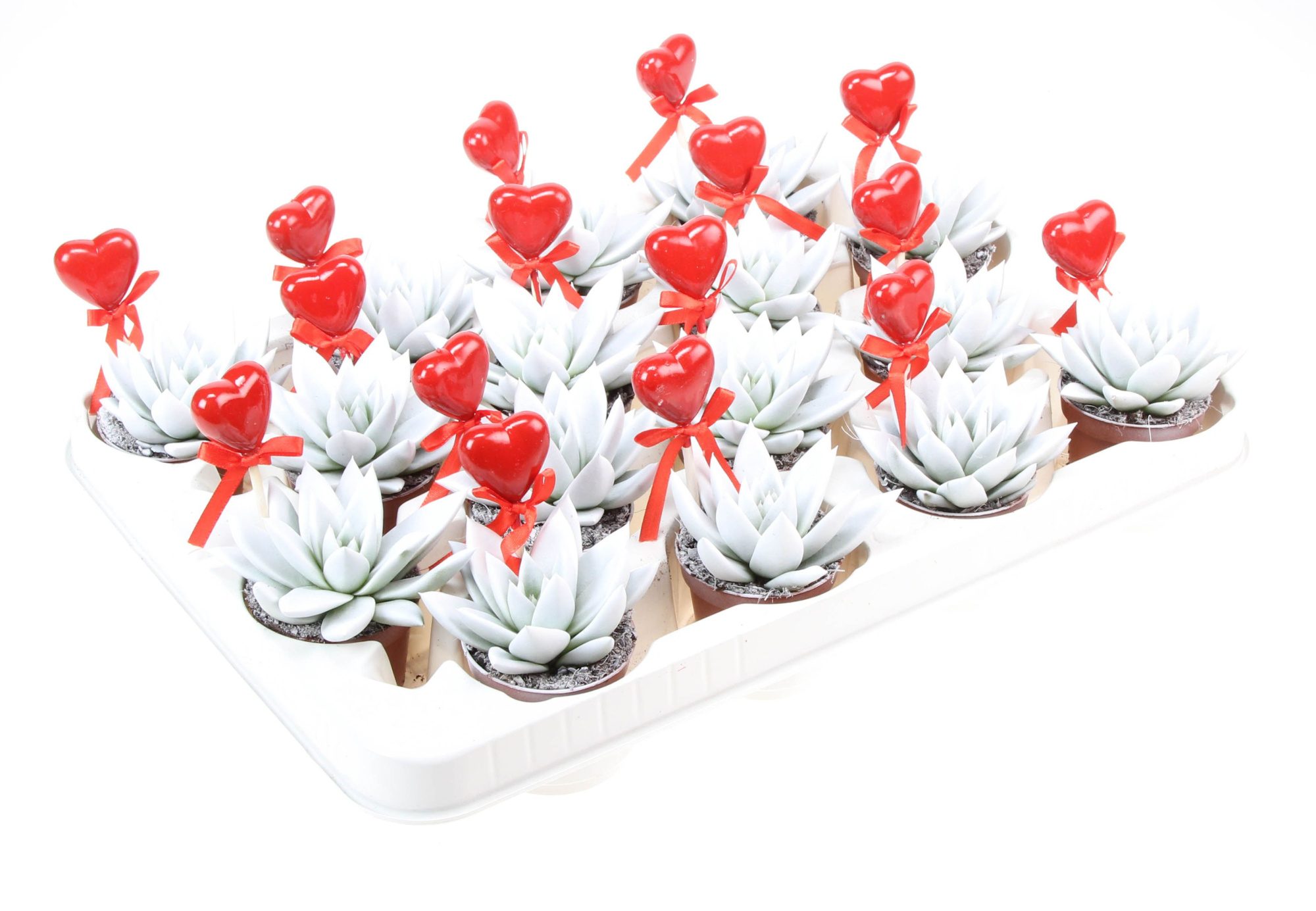 Miranda wit + hartje, D 6 cm