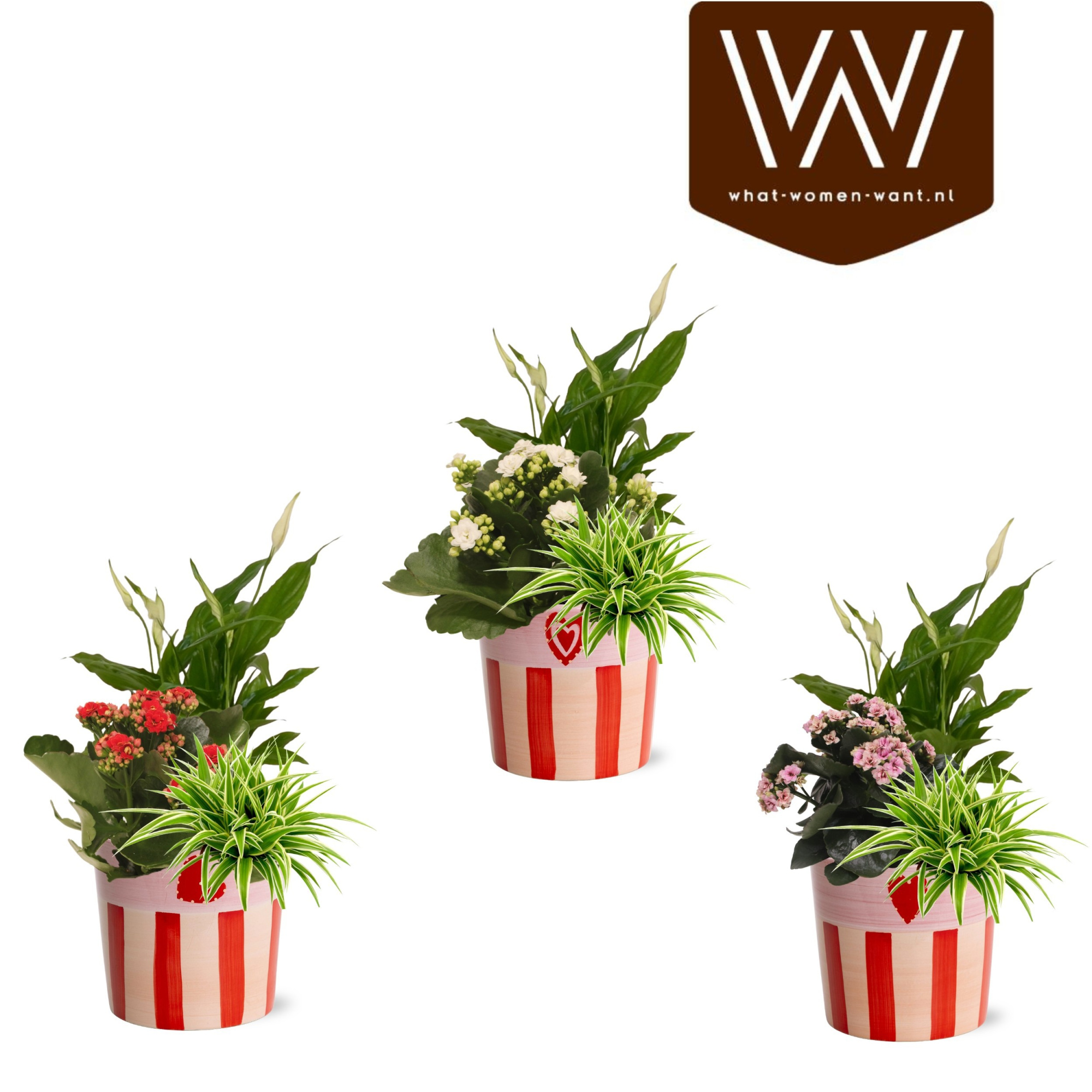 Collectie ' Sympathetic Moods' Arrangement in Keramiek Romee, D 12