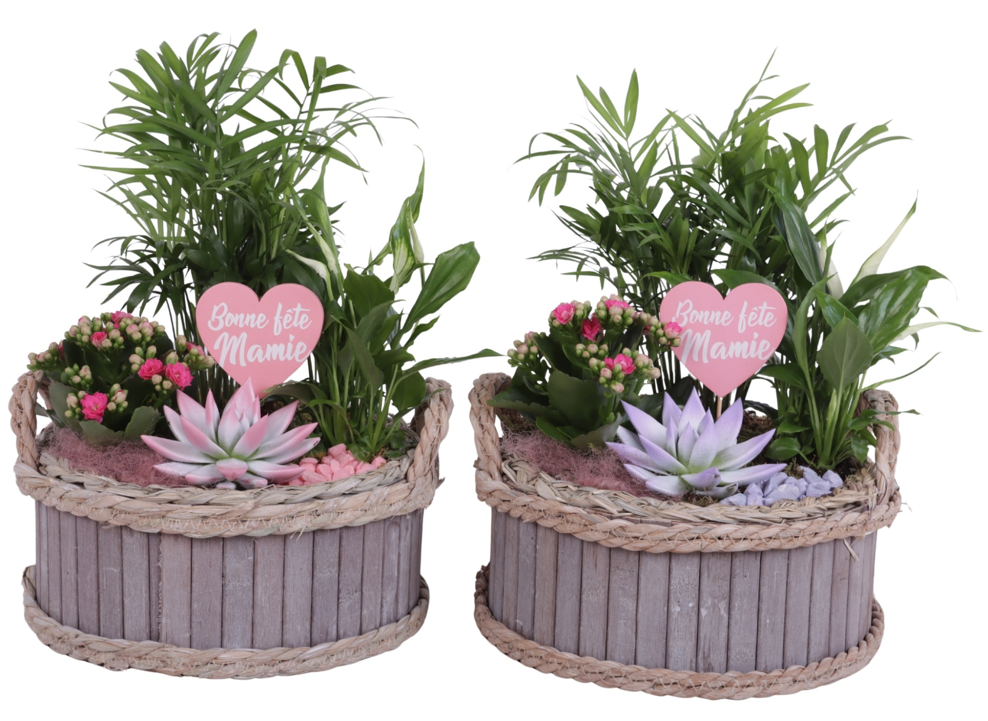 Grandmothers Day Arr. Indoor Wooden Pot Waterhyacinth Rim Ø25cm, D 24