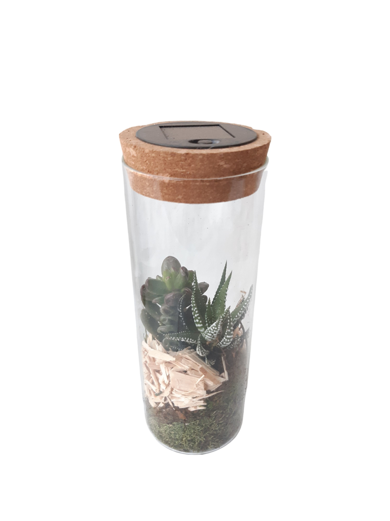 LVS23NAT Glasvaasje + kurkdeksel Solar & LED Naturel, D 8 cm