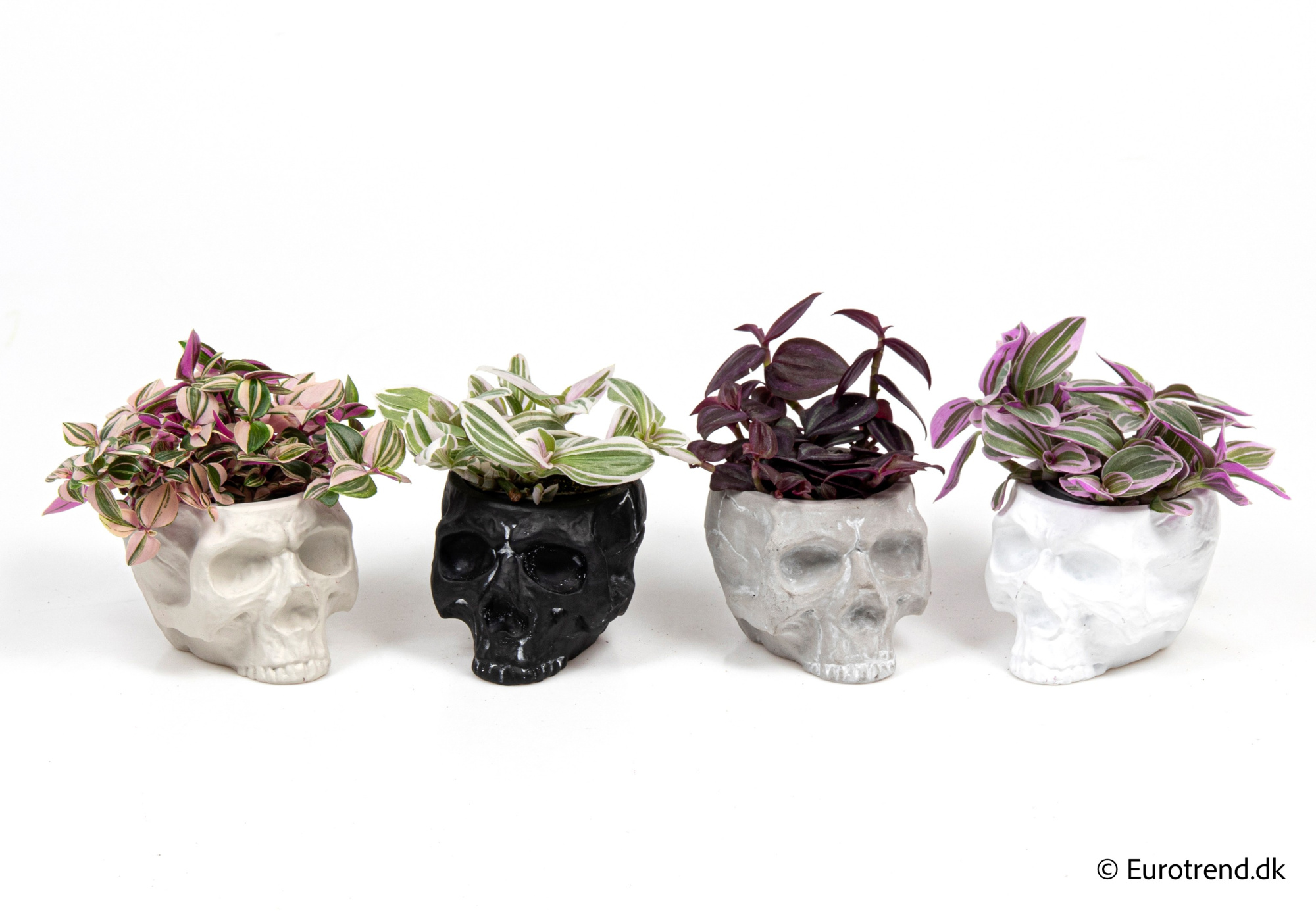 Green Mix in Halloween ceramic 2025, D 6 cm