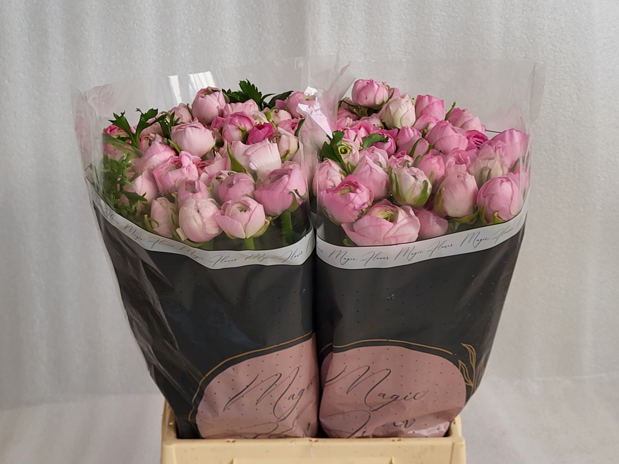 Ранункулус Амандин Маршмеллоу 45 (светло-роз.), шт.