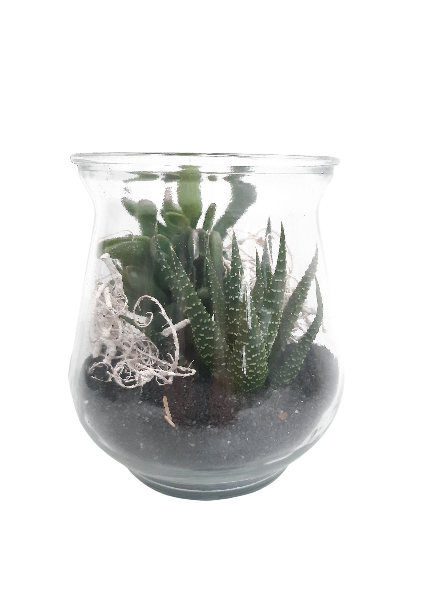 PBG11 Succulentmix in zand, D 11 cm