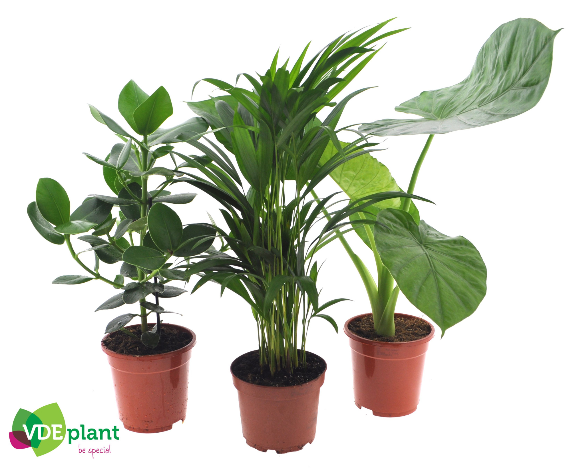 Intenz mix 17cm, D 17 cm