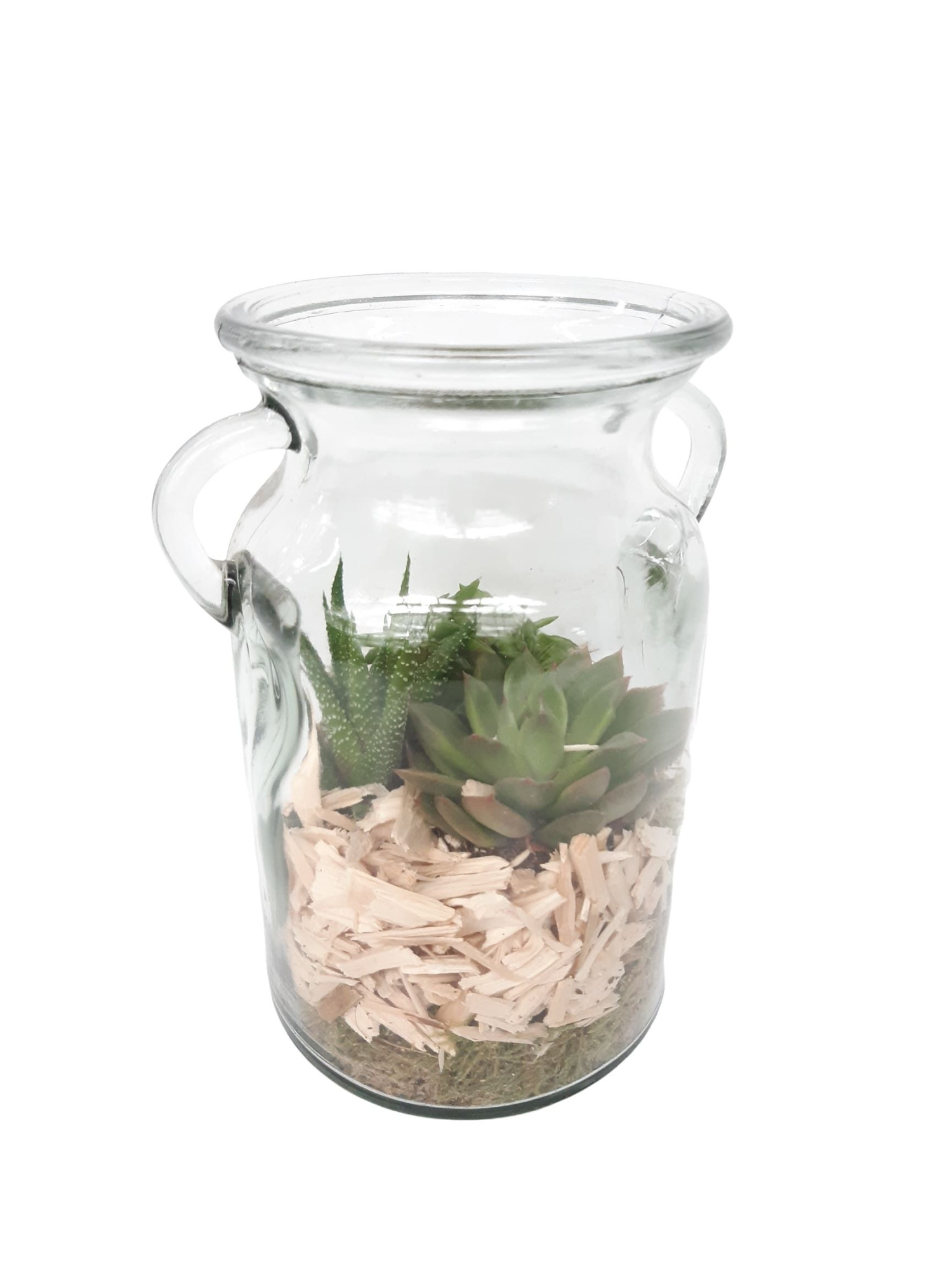 MBT12GMX Milkbottle mini groenmix, D 12 cm