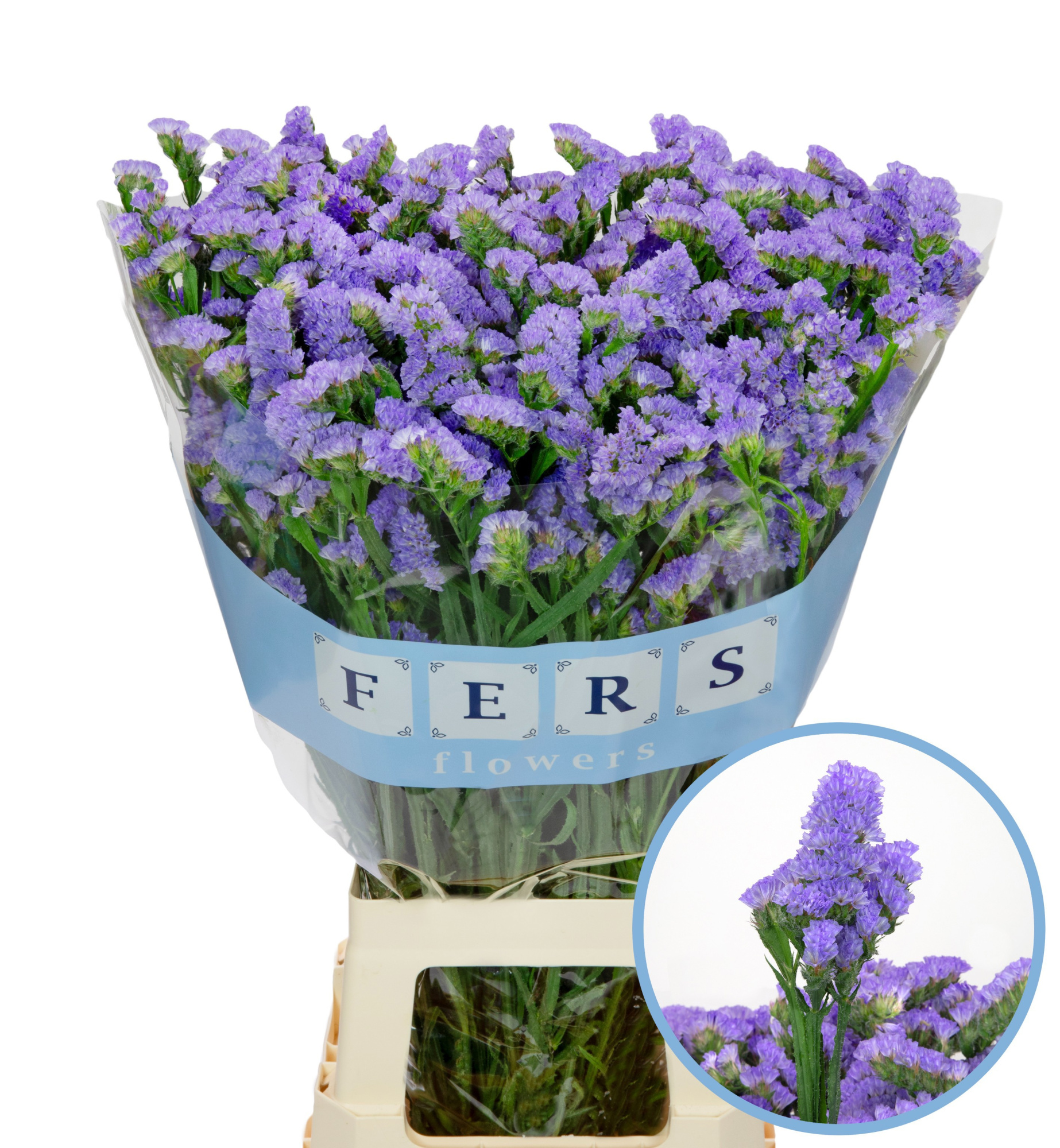 Статица Скай Вингз 70 (фиолет.), шт.