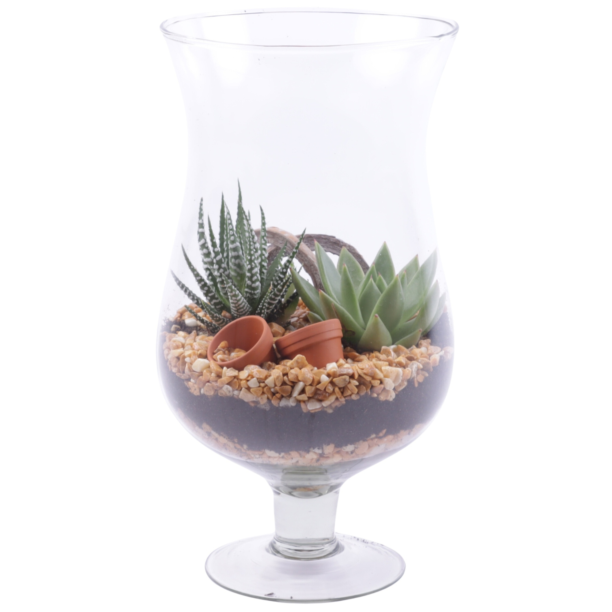 Yearround Arr. Succulent Glass Cognac Ø17cm 2PP, D 17 cm