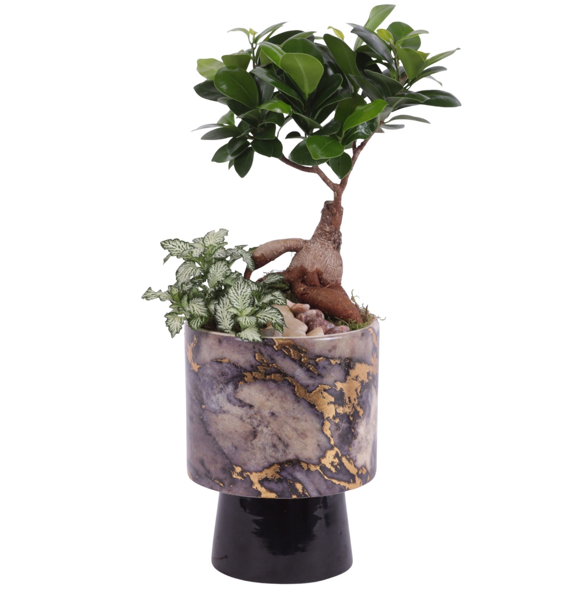 Yearround Arr. Indoor Ceramic Pure Luxury PL672 Ø14cm 2PP, D 14