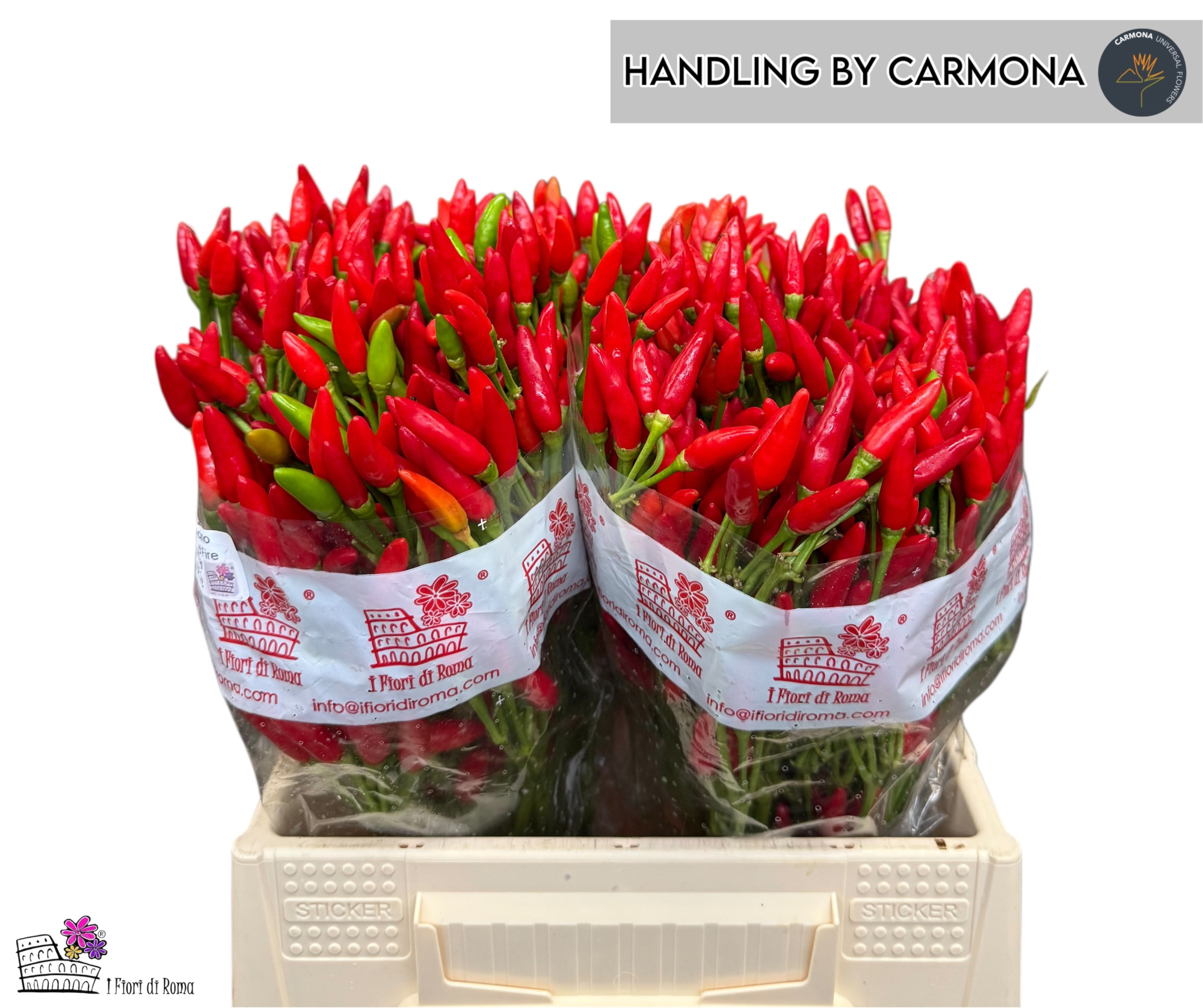 Капсикум Рэд Фае 40, шт.