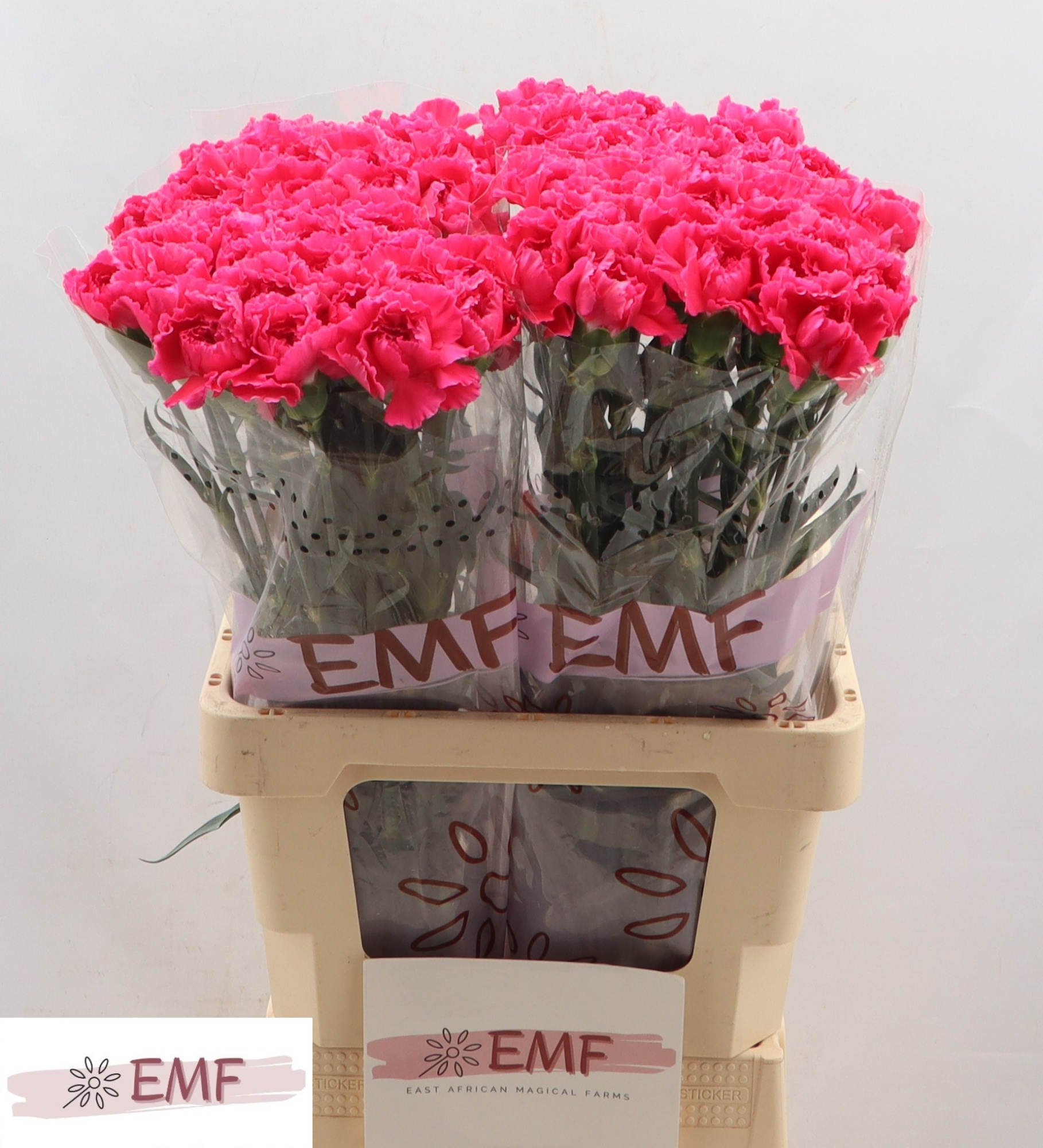 Диантус од. Черри Дамаскус+, шт.