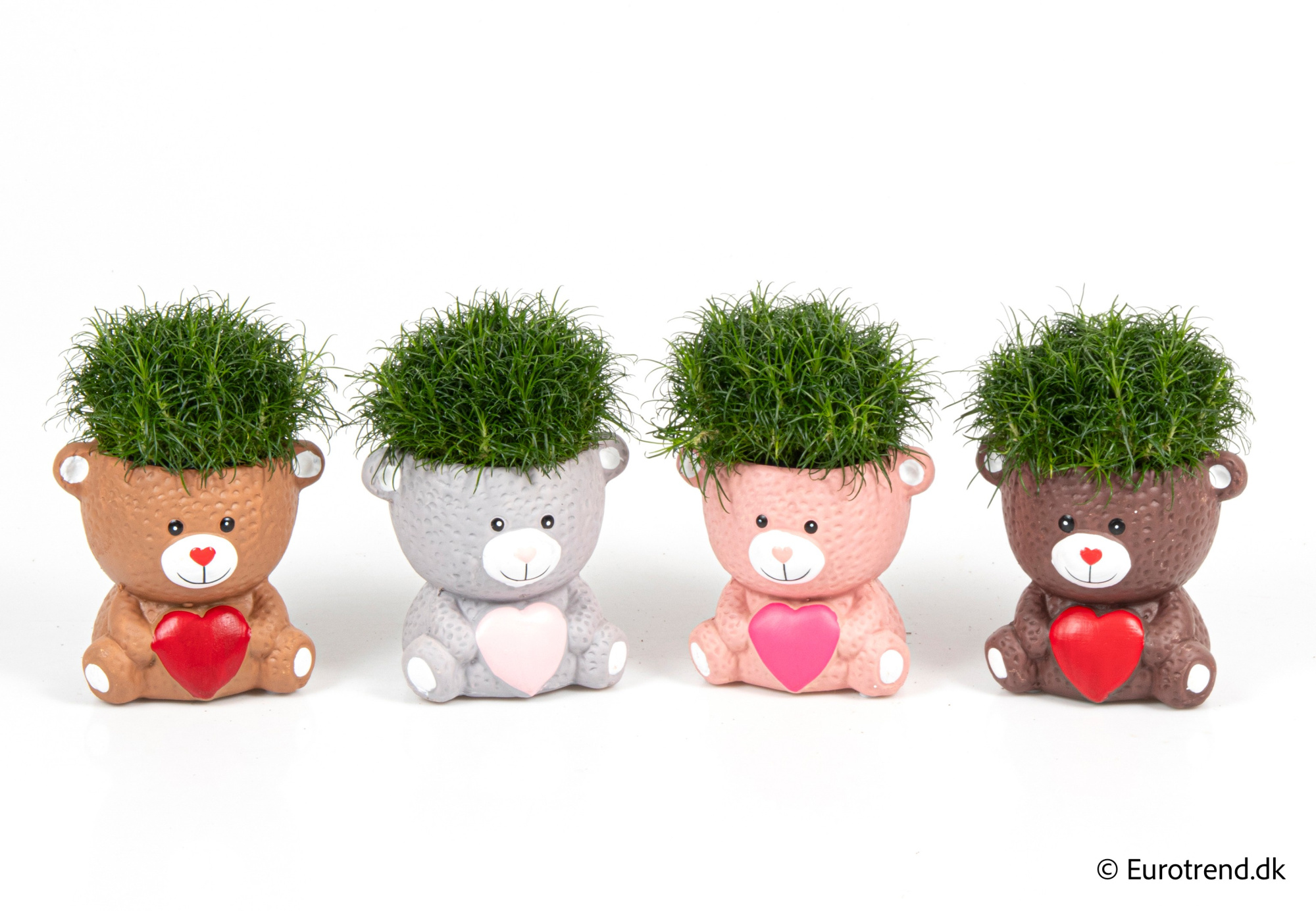 Sagina in Valentine ceramic 2026, D 6