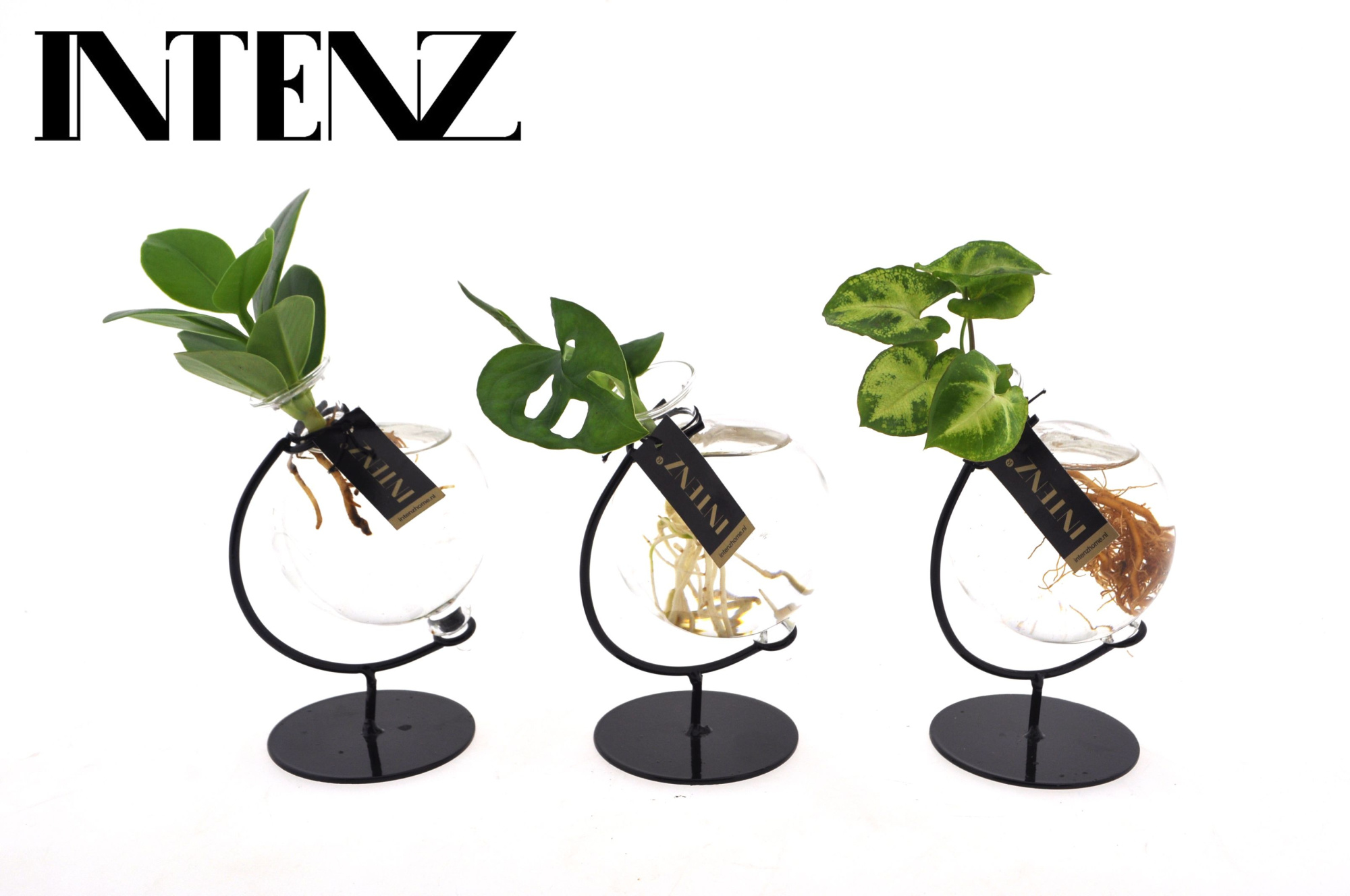 Mix in Victoria glas, D 5 cm