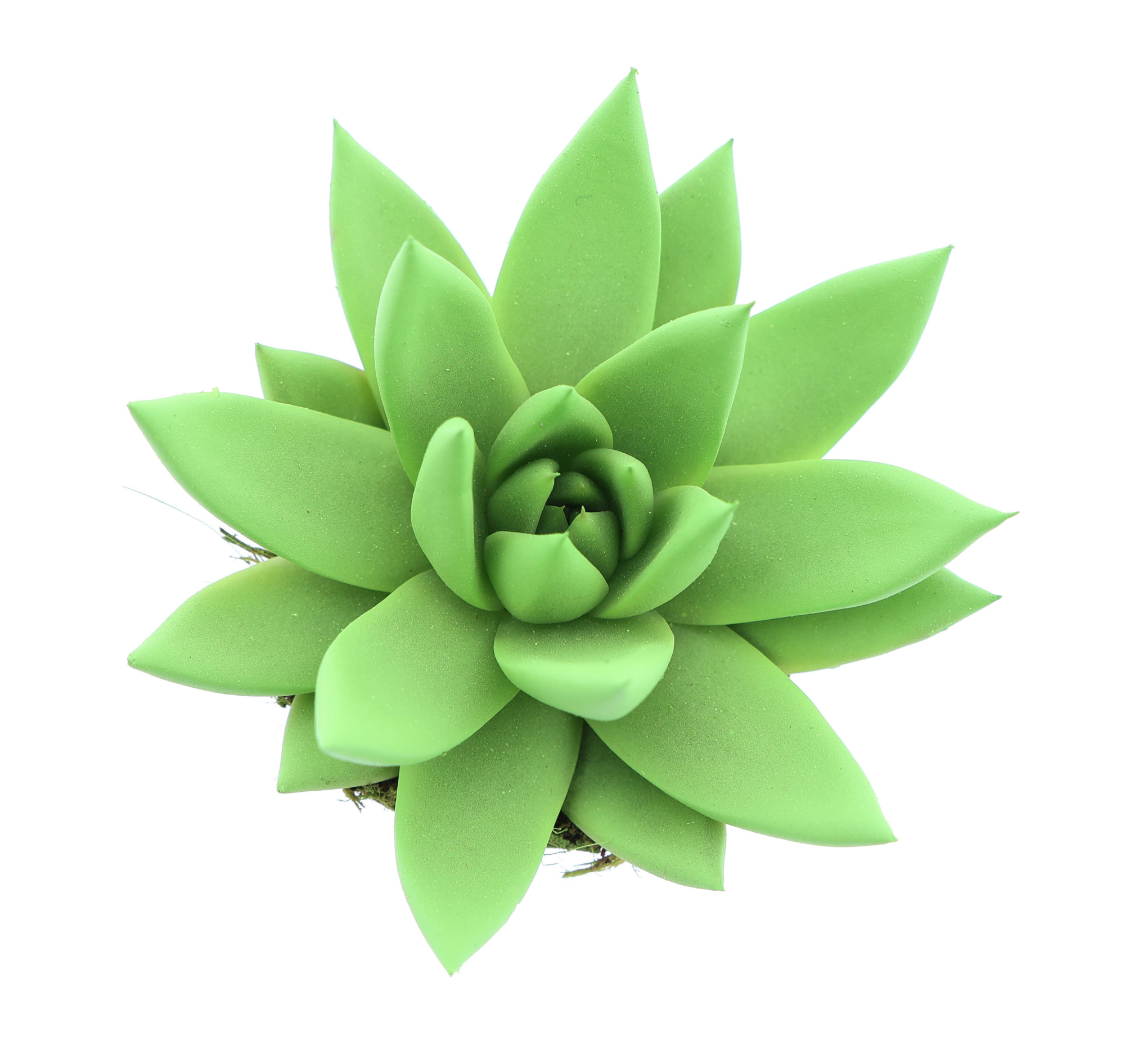 Rainbow bright green, D 6 cm