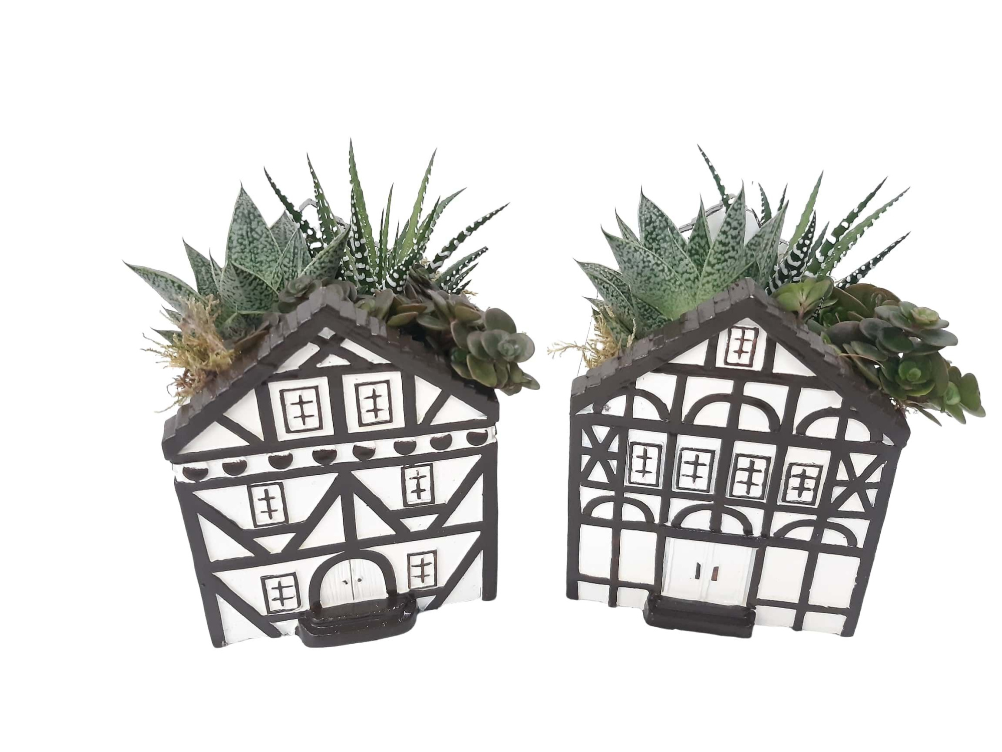 CASA D11 Casa Saxon Groot, D 11 cm