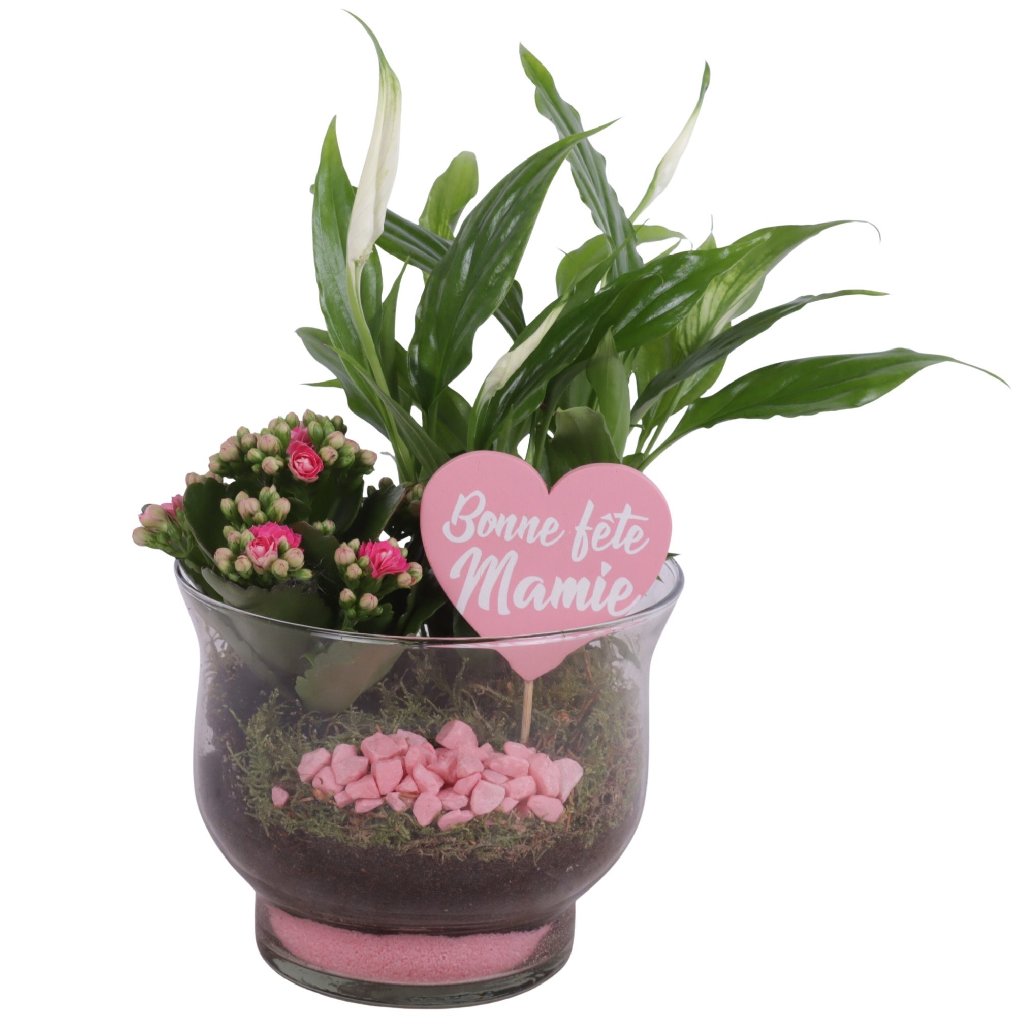 Grandmothers Day Arr. Indoor Glass Tulip Vase Ø16cm 2PP, D 16