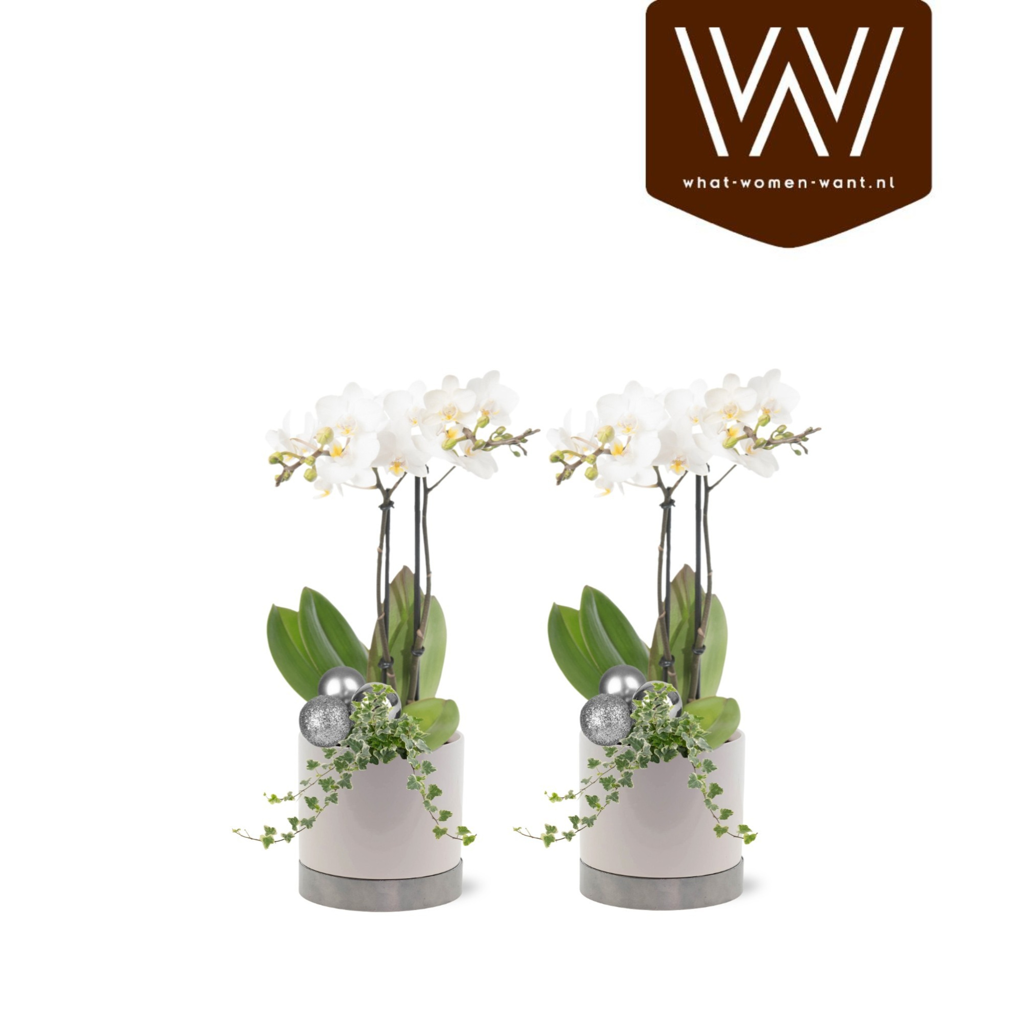 Collectie"Top Blend" Arrangement in keramiek Emma, D 12