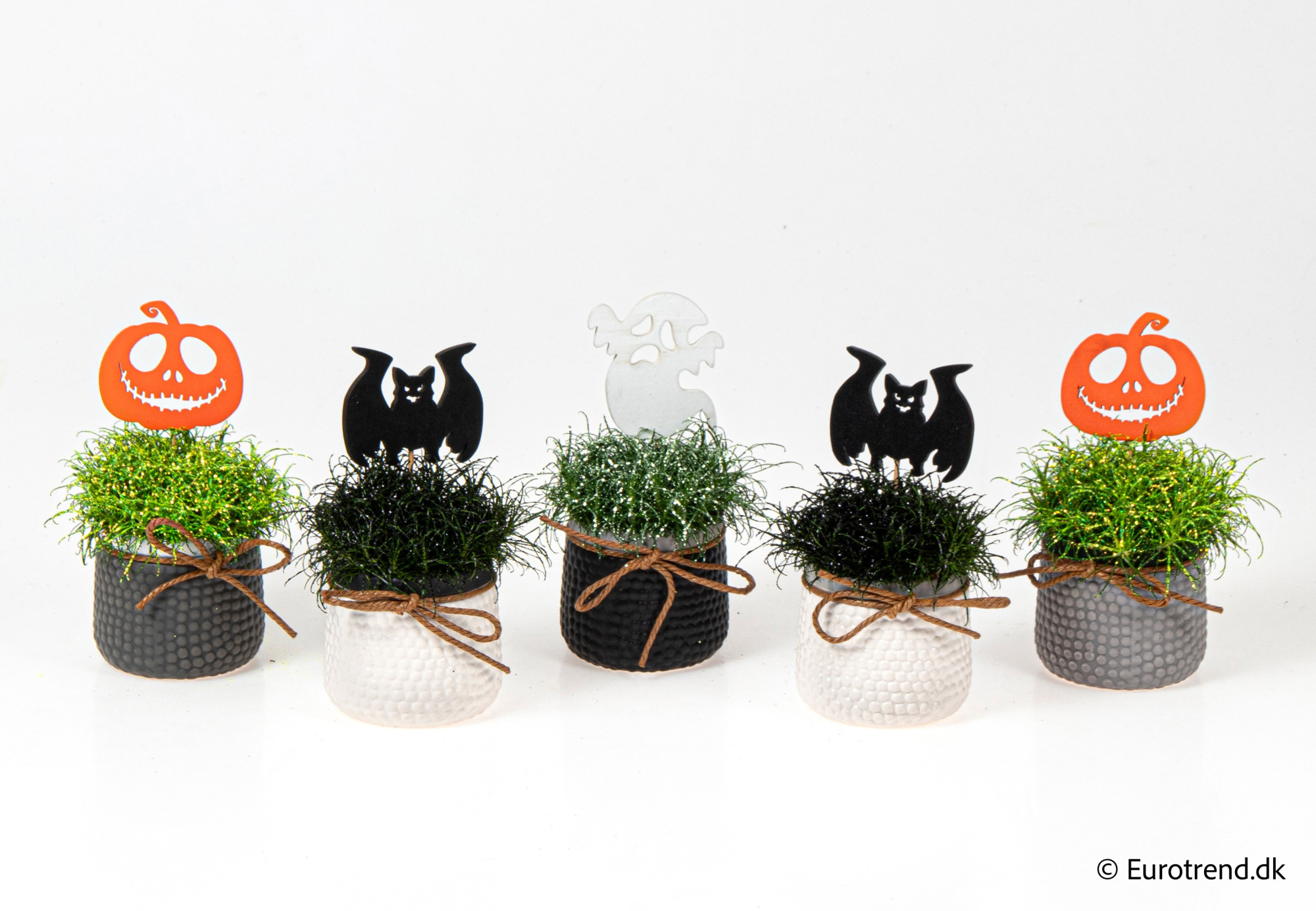 Sagina with glitter in Halloween ceramic 2025, D 6 cm