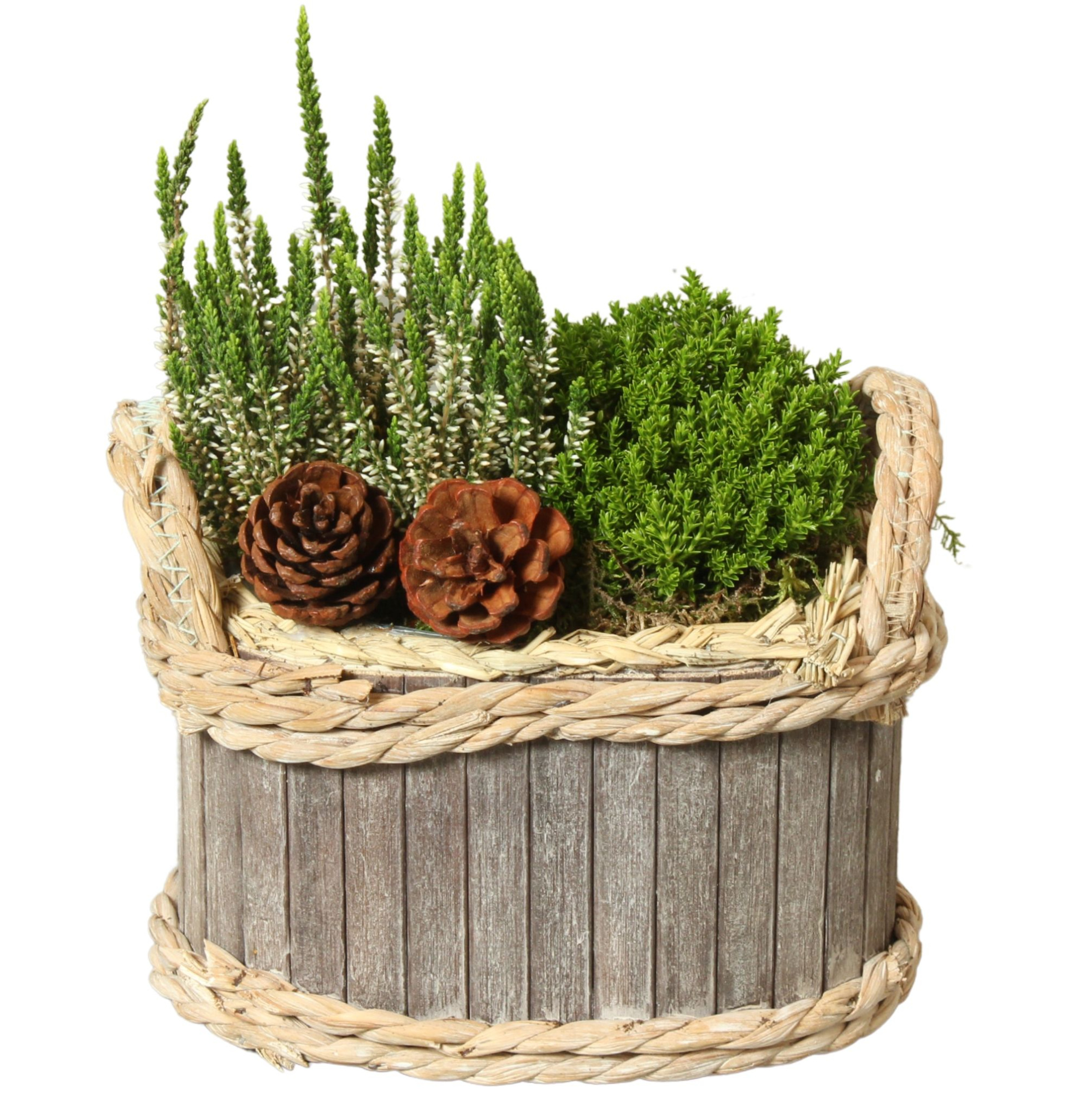 All Saints Arr. Outdoor Willow Pot Oval Waterhyacinth Rim Ø22cm, D 22 cm