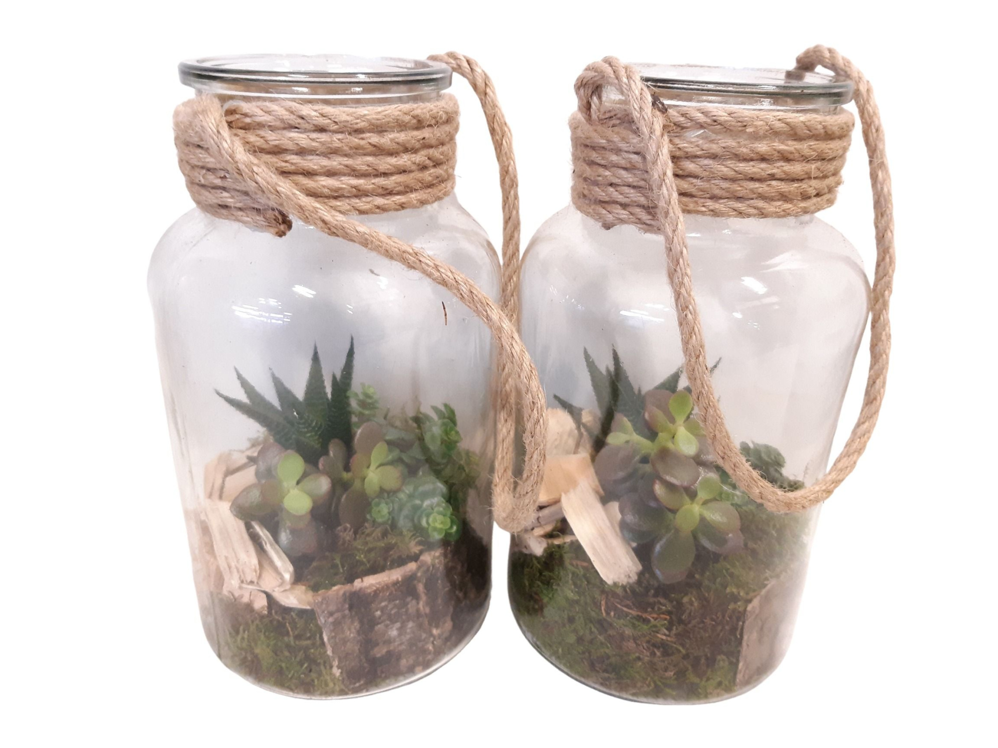 714 RP Fles / Terrarium 14/26 mini Succulentmix, D 14 cm