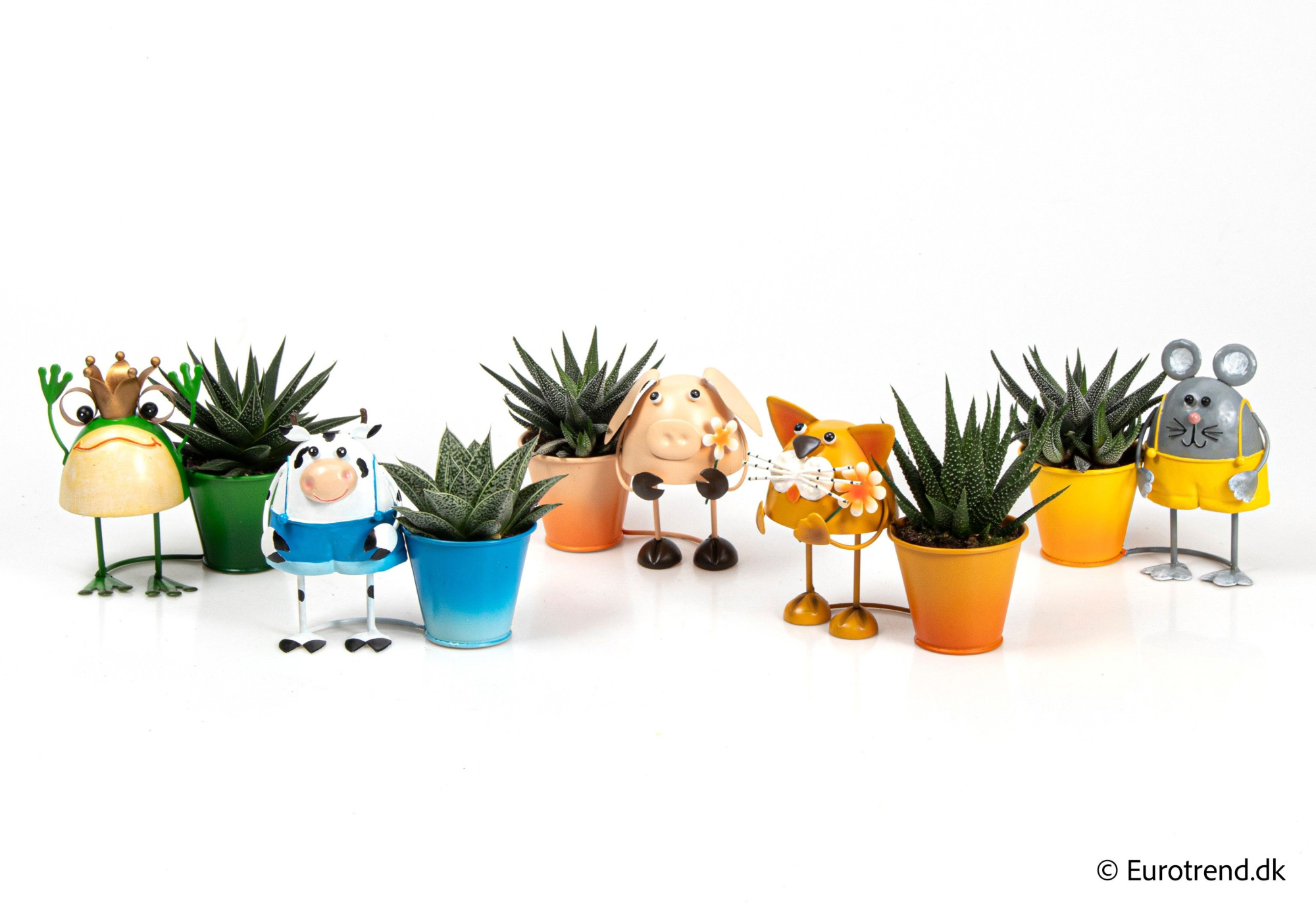 Succulent mix in metal with animals - Spring, Summer & Autumn 2025, D 6 cm