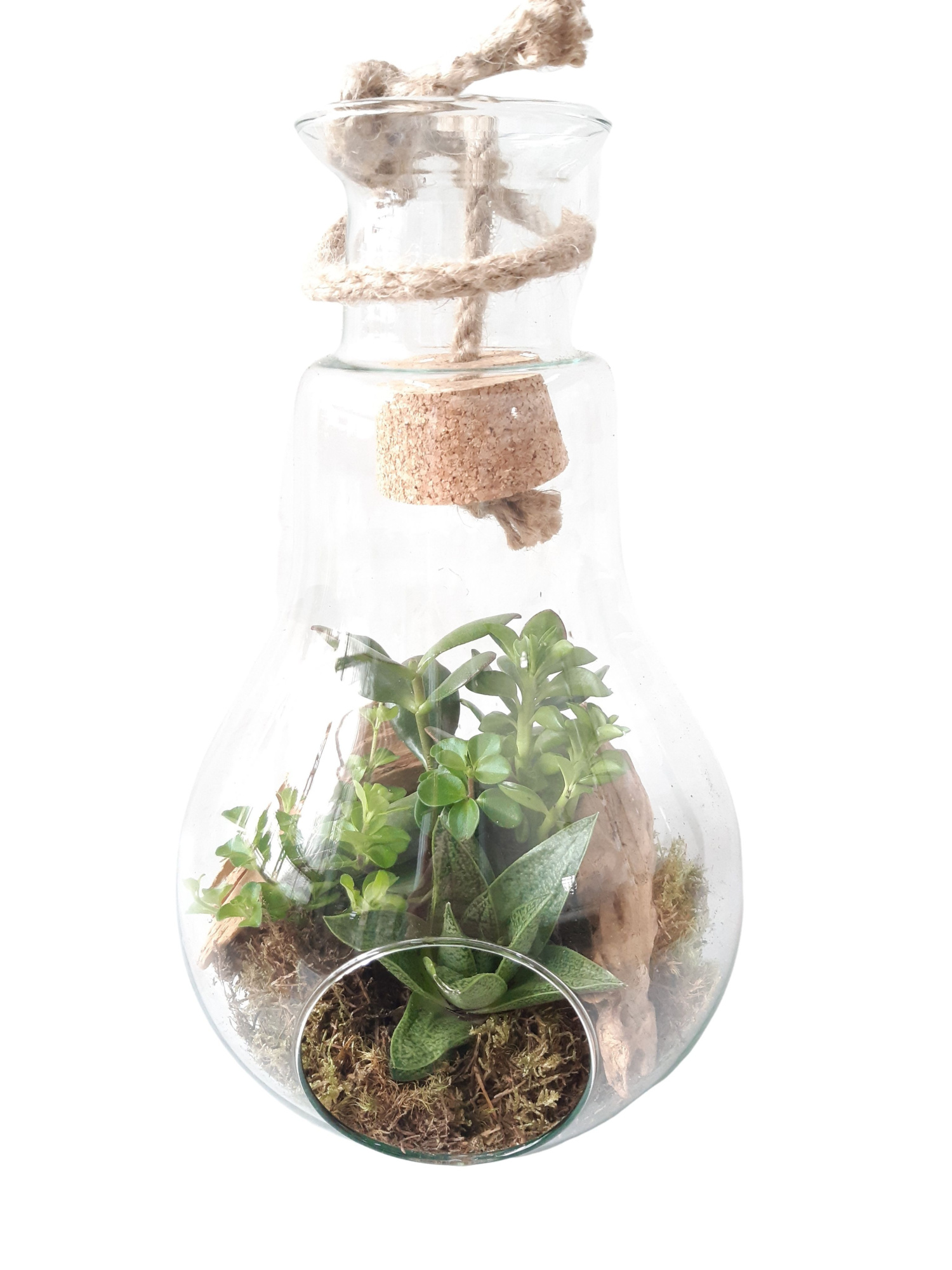 912 Terrarium peerglas natural deco, D 18 cm
