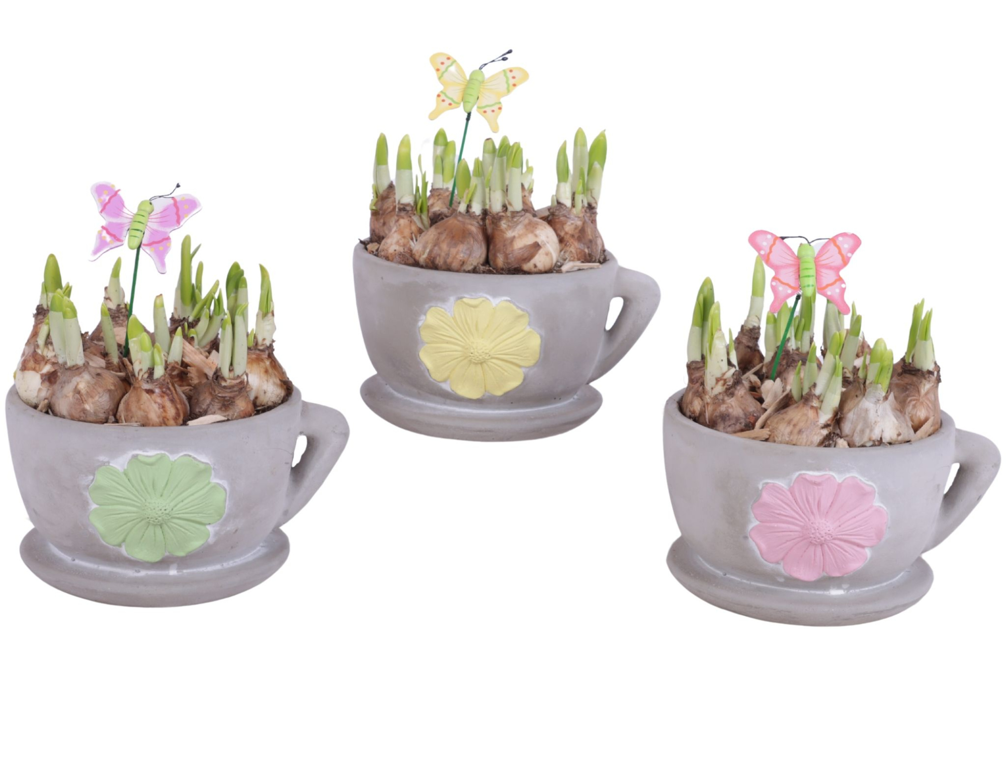 Bulbs Arr. Narcis Ceramic Cup and Saucer 3D Flower Ø19cm, D 19