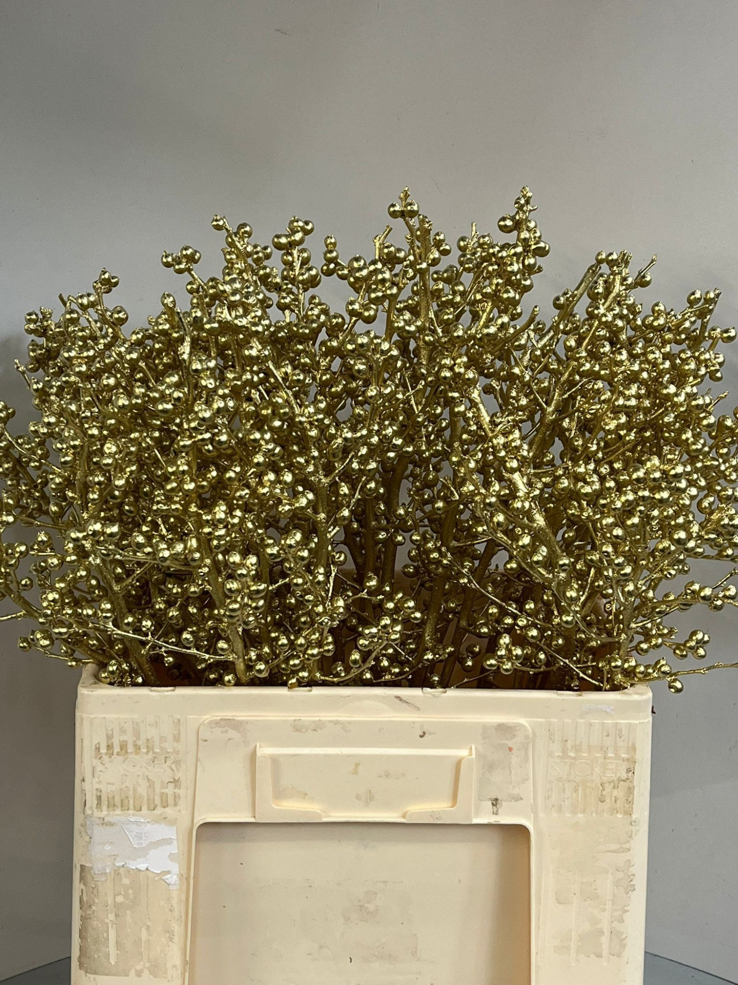 Илекс Овериг Крашеный (краш. ) 60, шт.