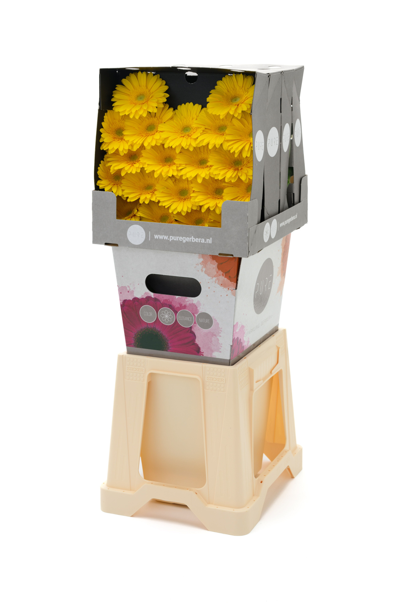 Гермини Эмоджи, шт.