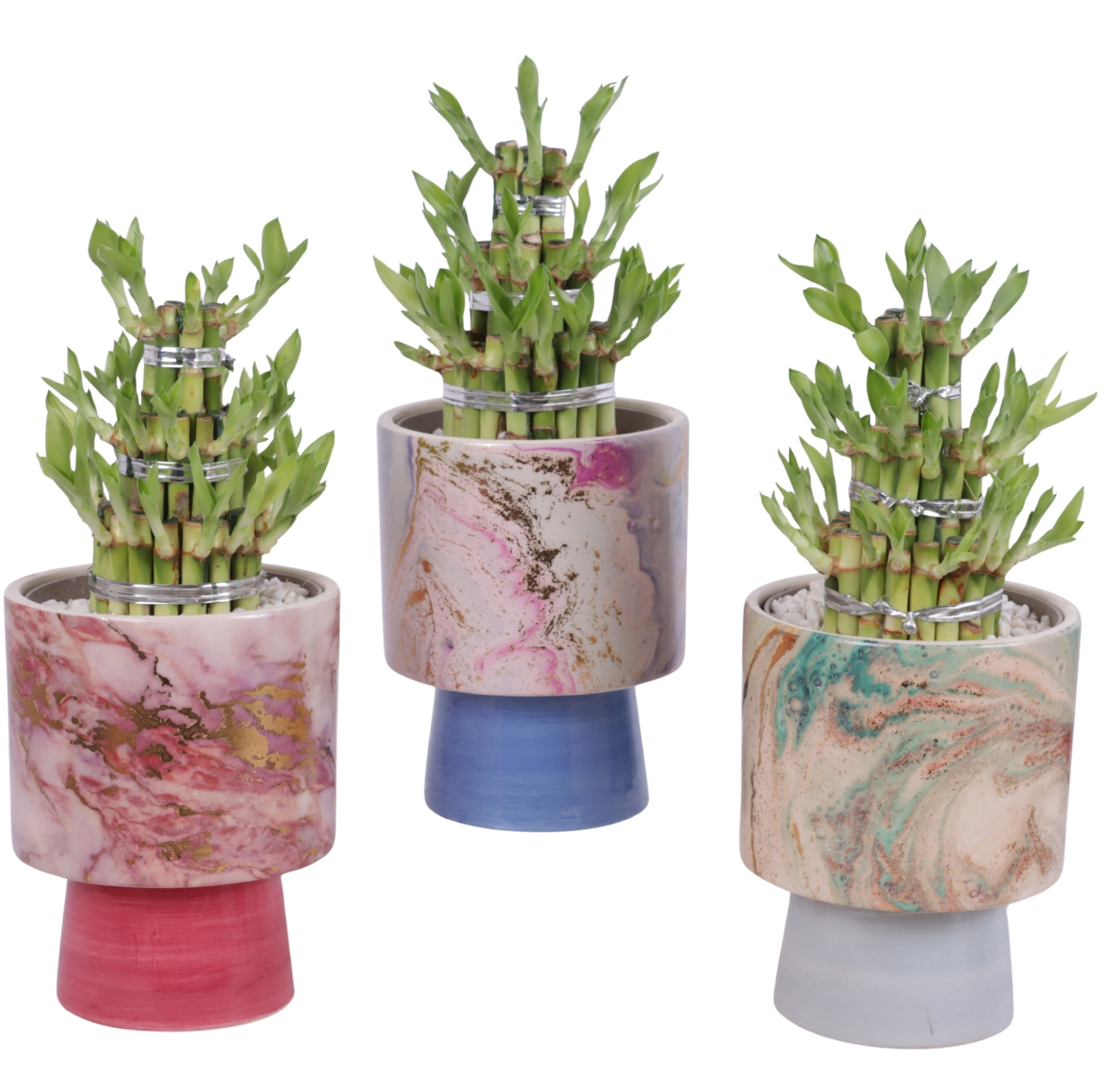 Lucky Bamboo Shape Round 3S Ø14cm Ceramic FB676, D 14