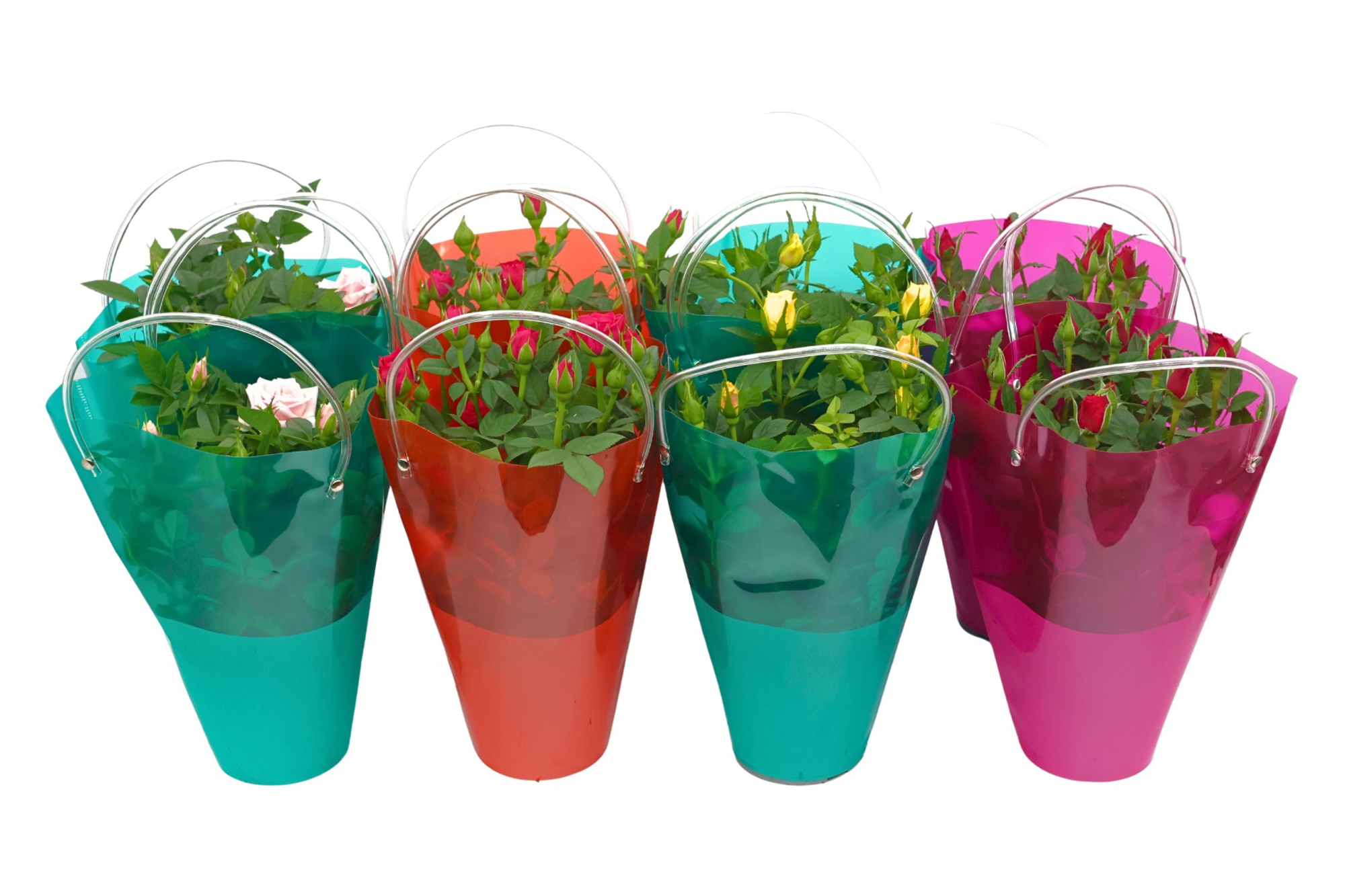 Potroos 12 cm - Lola Tas, D 12 cm