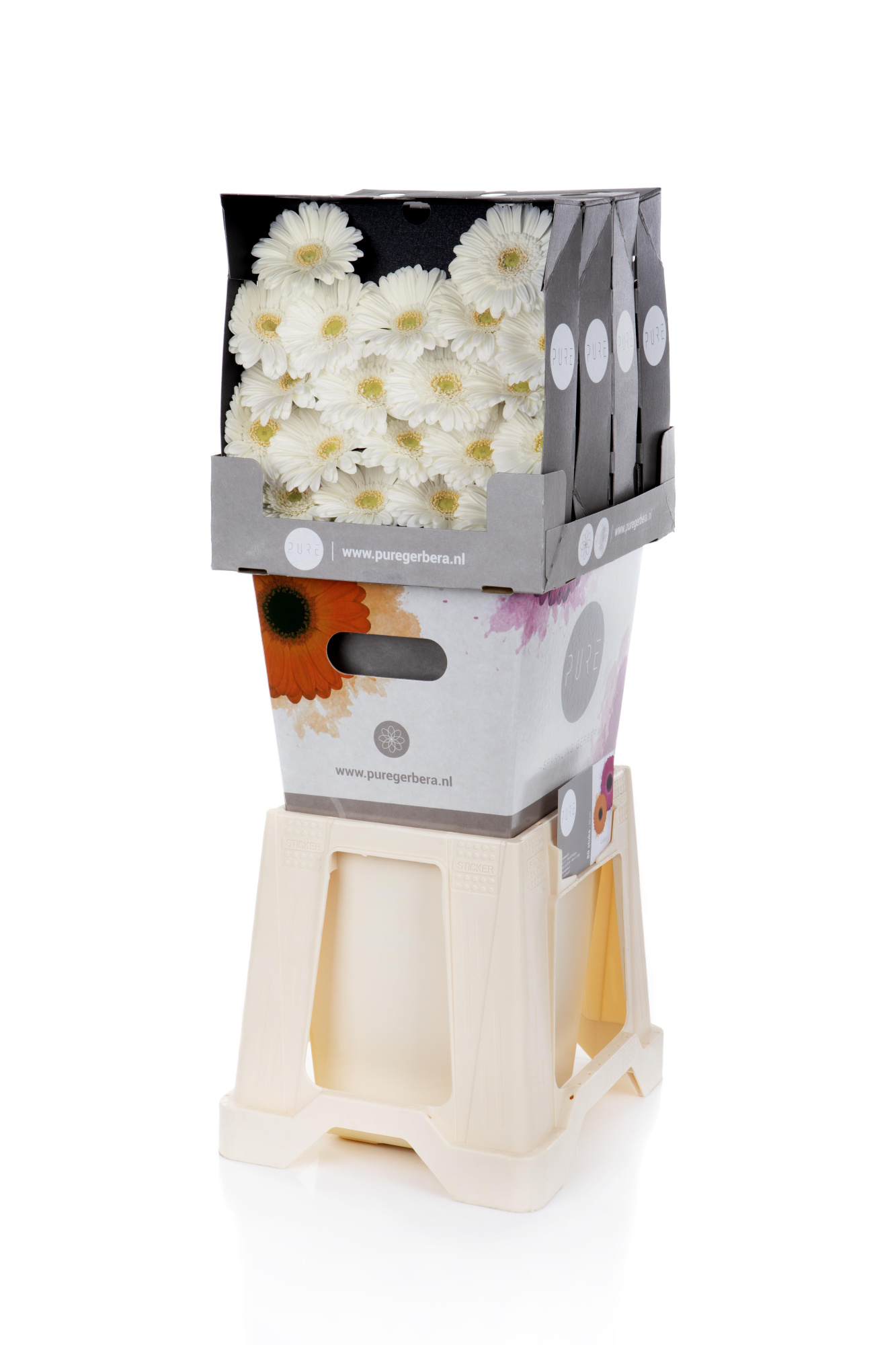 Гермини Лобби, шт.