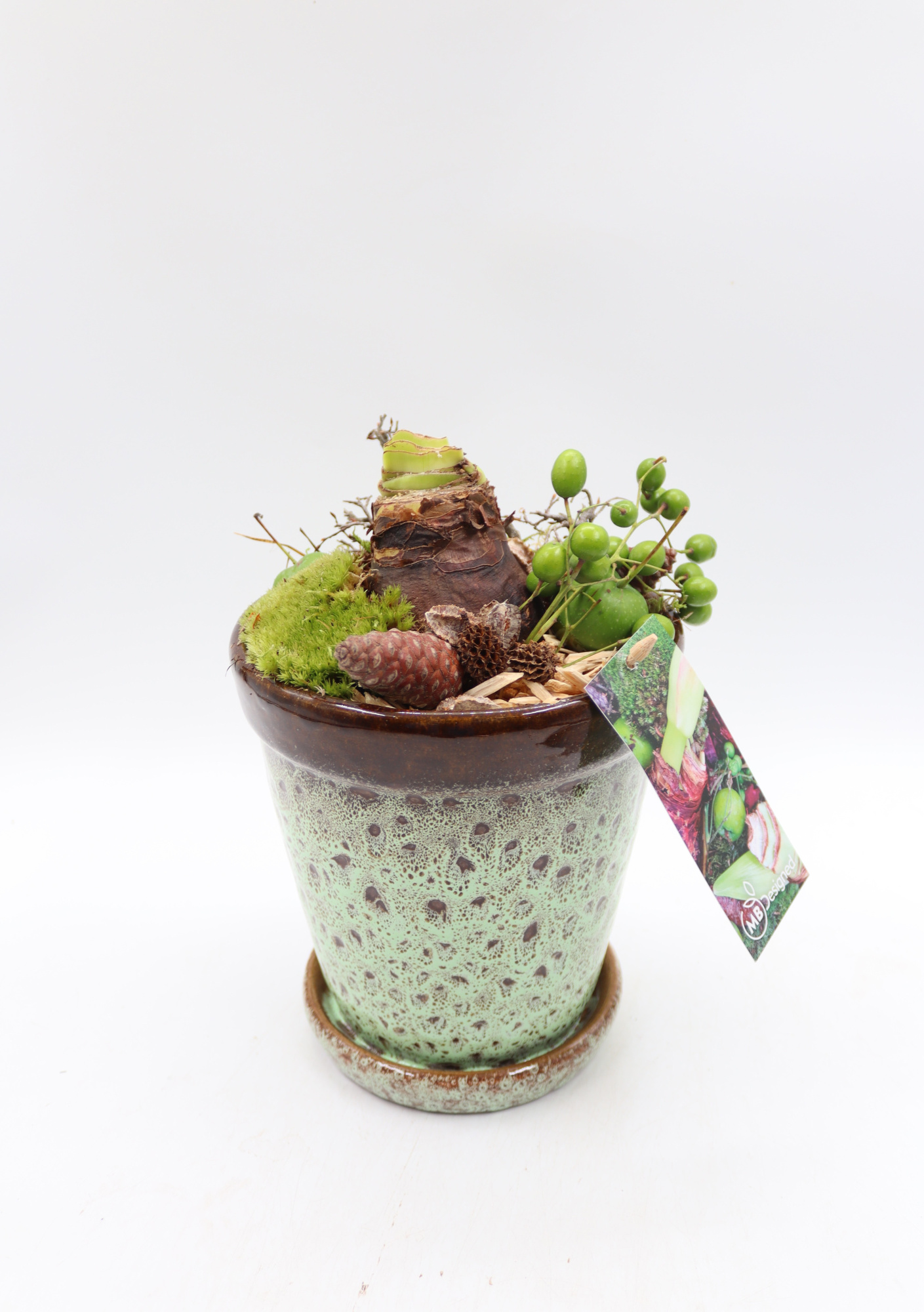 Amaryllis Luxe keramiek pot op schotel, D 16 cm