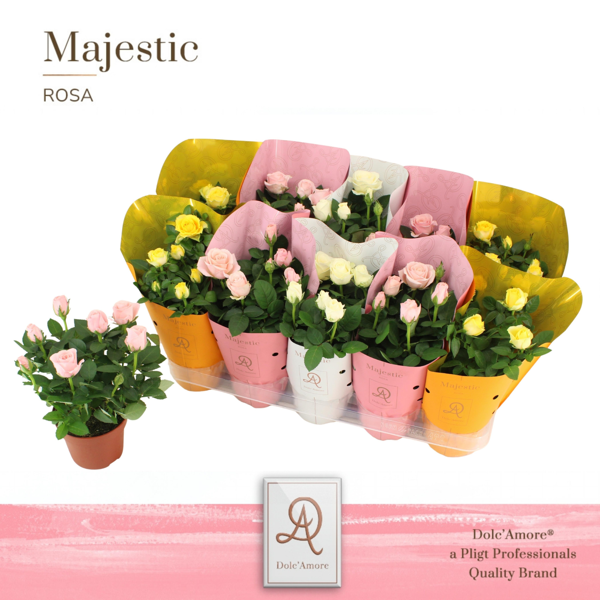 Potroos Florence Mix P12 Dolc'Amore Majestic Metallic, D 12