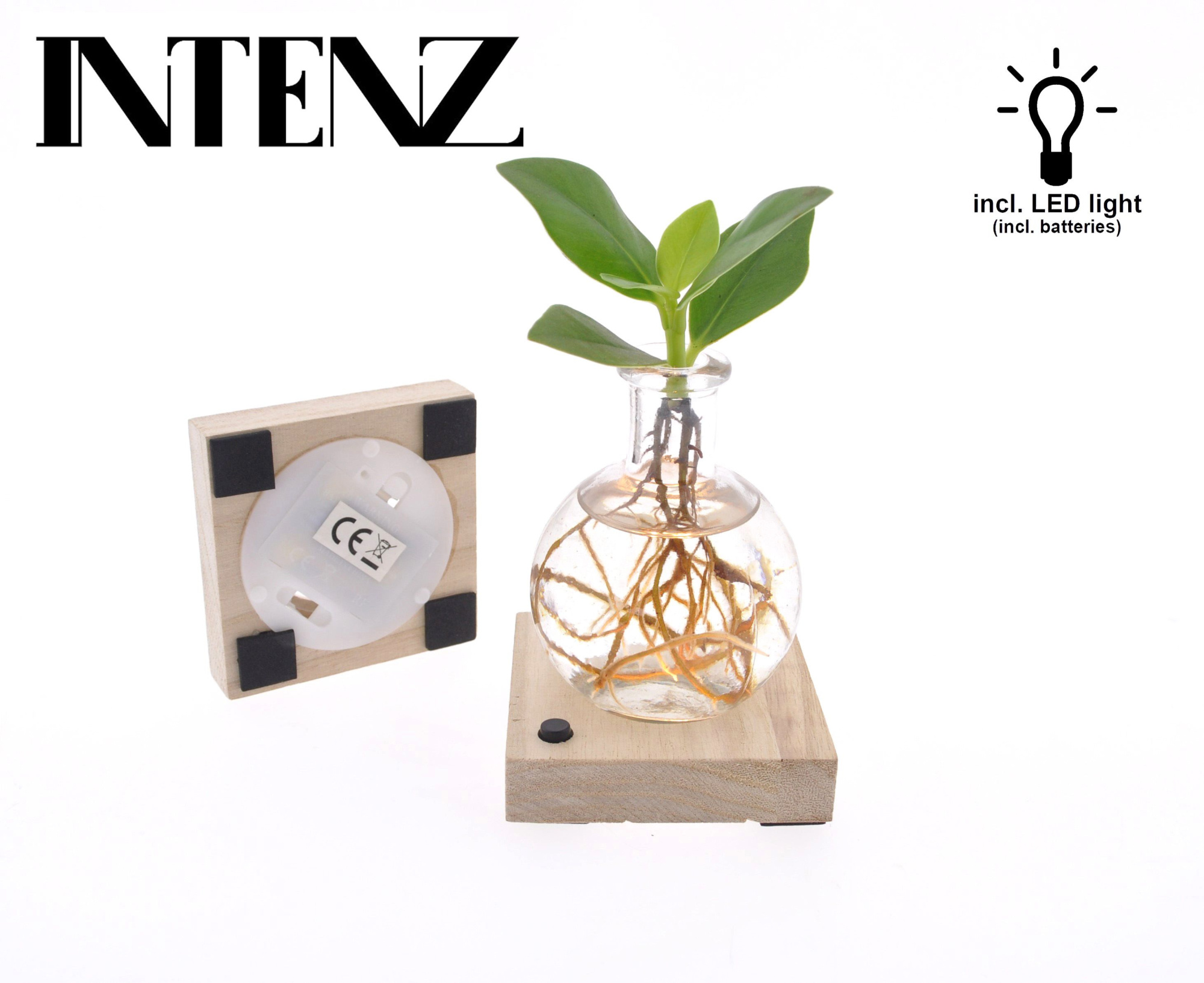 Clusia in Samoa glas met LED - levertijd: 24 uur, D 5 cm