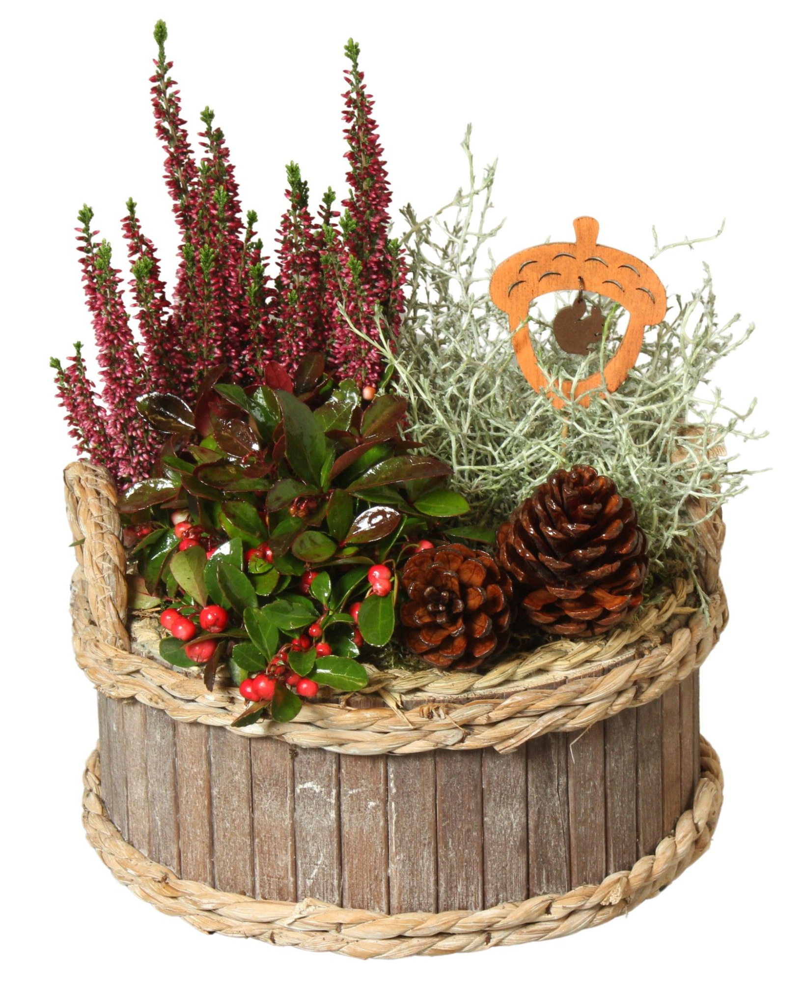 Autumn Arr. Outdoor Wooden Pot Waterhyacint Rim Ø25cm 3PP, D 24 cm